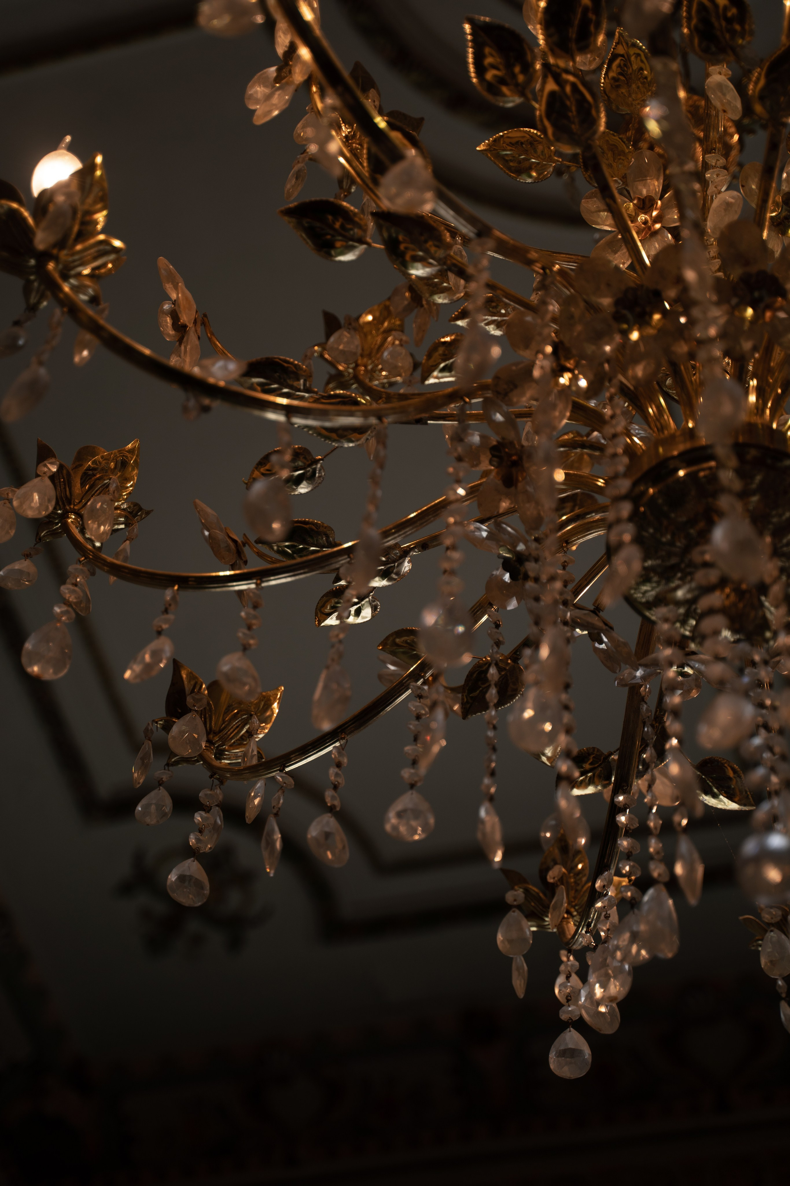 The Secret Garden. Портретный фотограф в Краснодаре Валерия Матирная