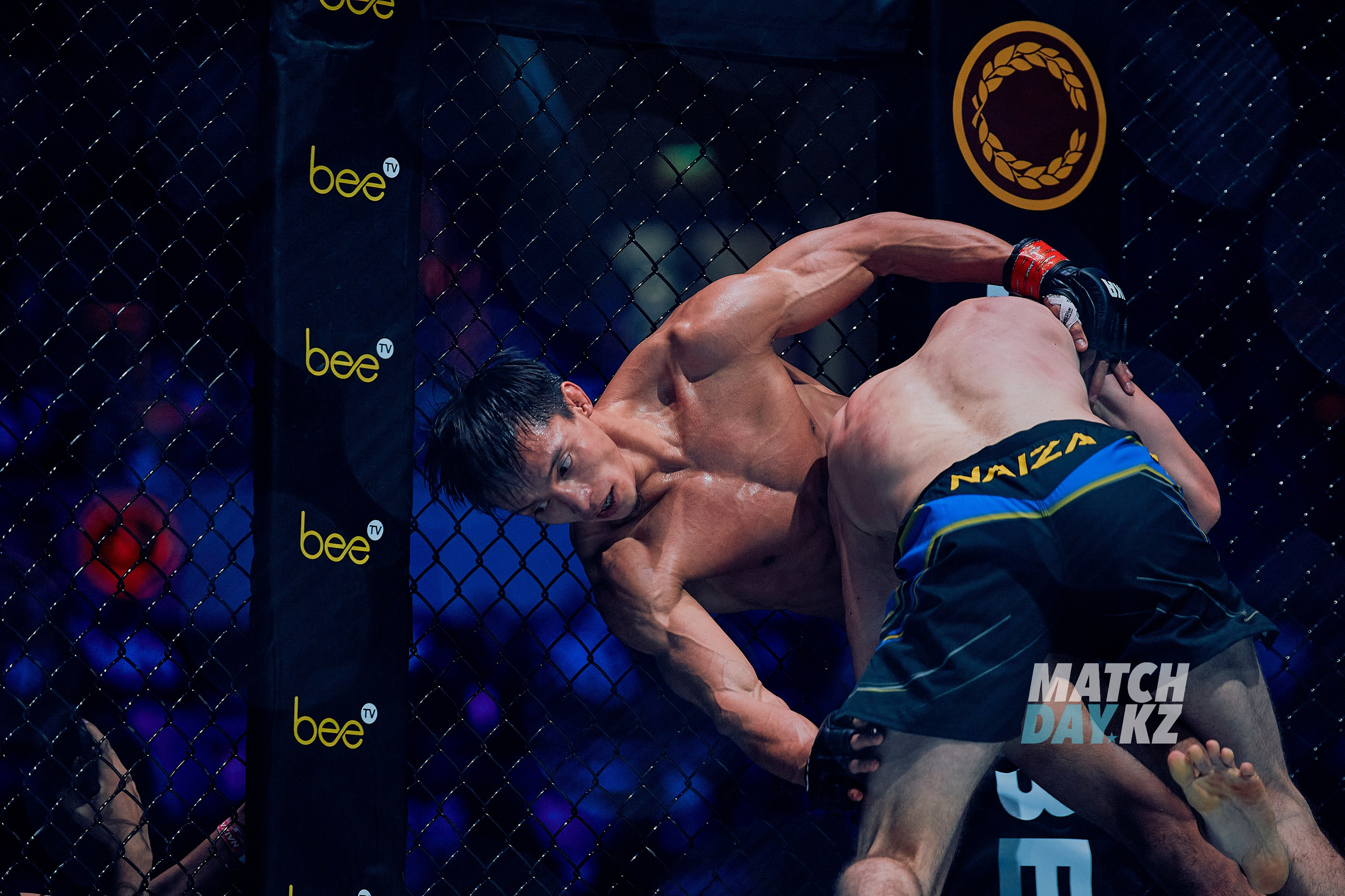 Naiza MMA (Astana) 6 December 2023. Professional photo & Event agency (Kazakhstan, Astana)