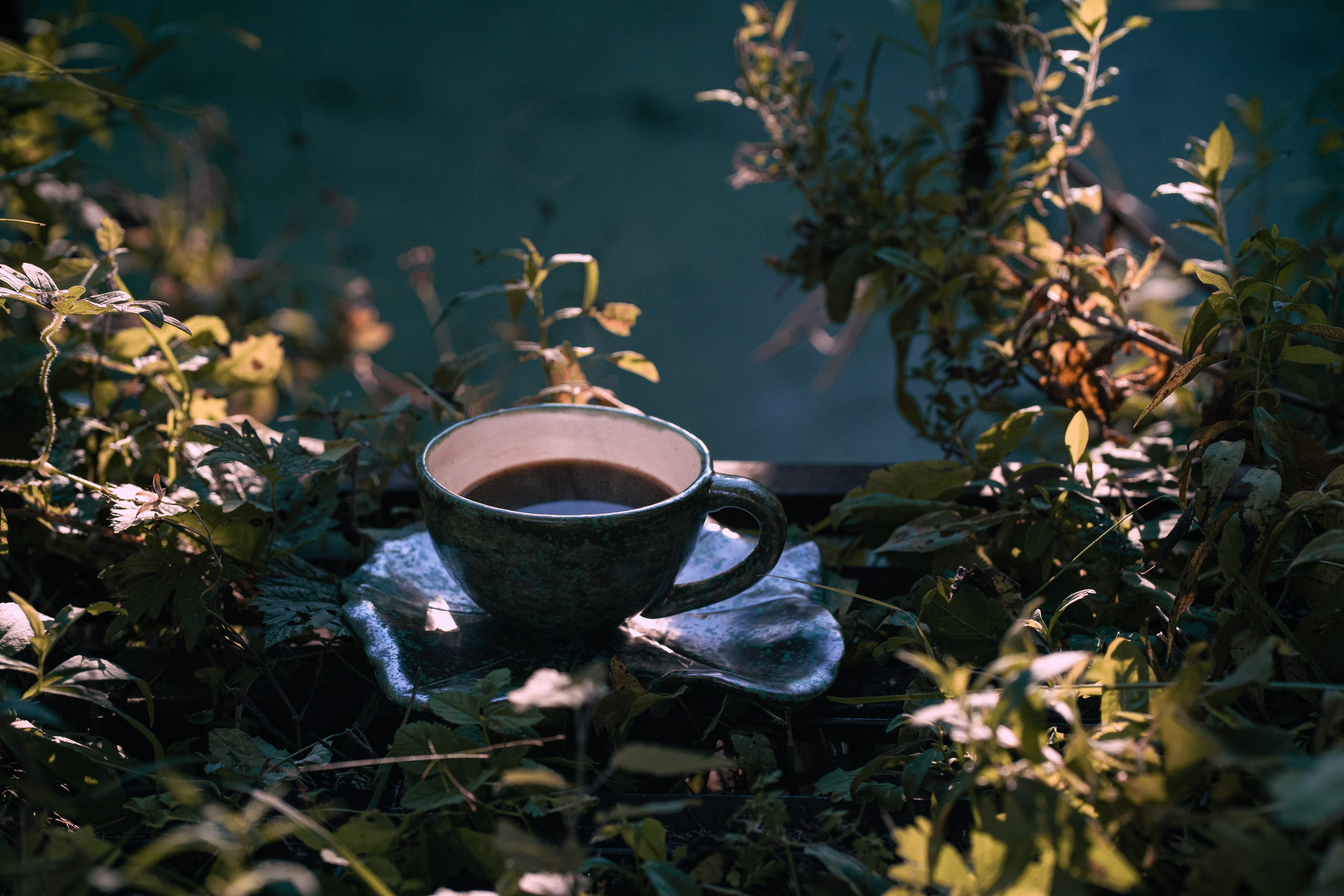 Фотокартины. Семейный фотограф Ирина Ильиных-Вольная в Москве и не только