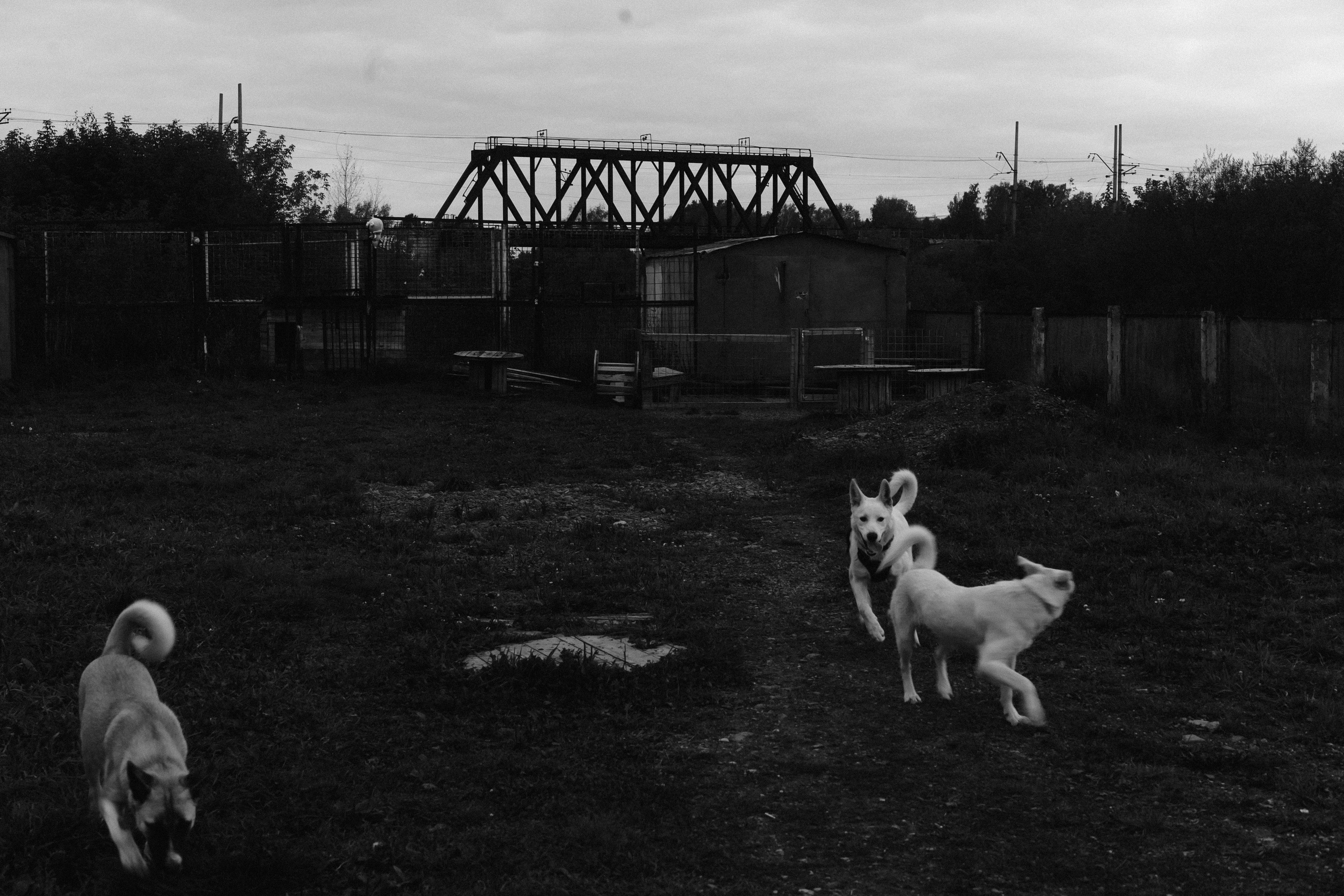 Улица Балтийская. Veronika Popadeikina Photographer