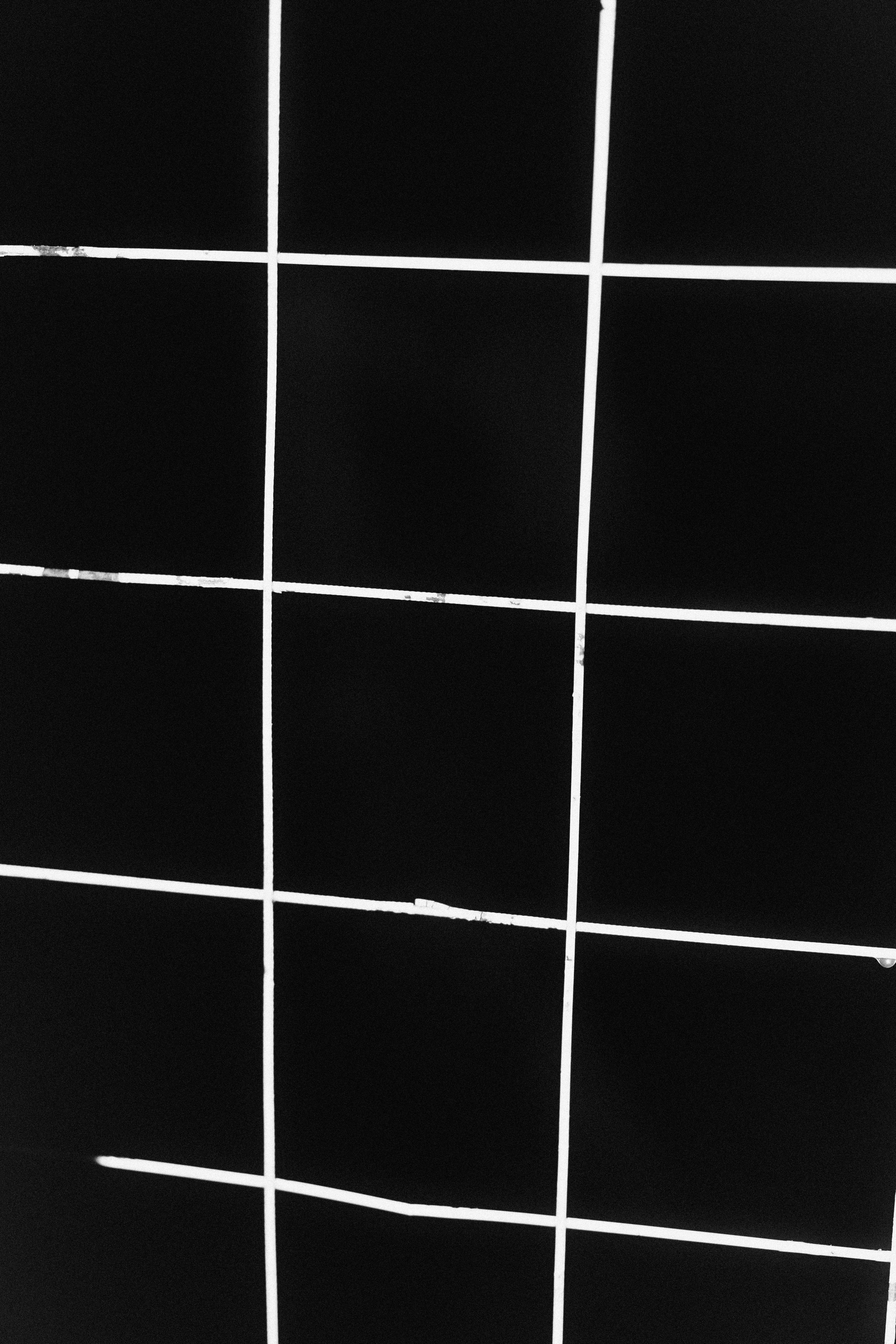 Прогулка после дождя. Veronika Popadeikina Photographer