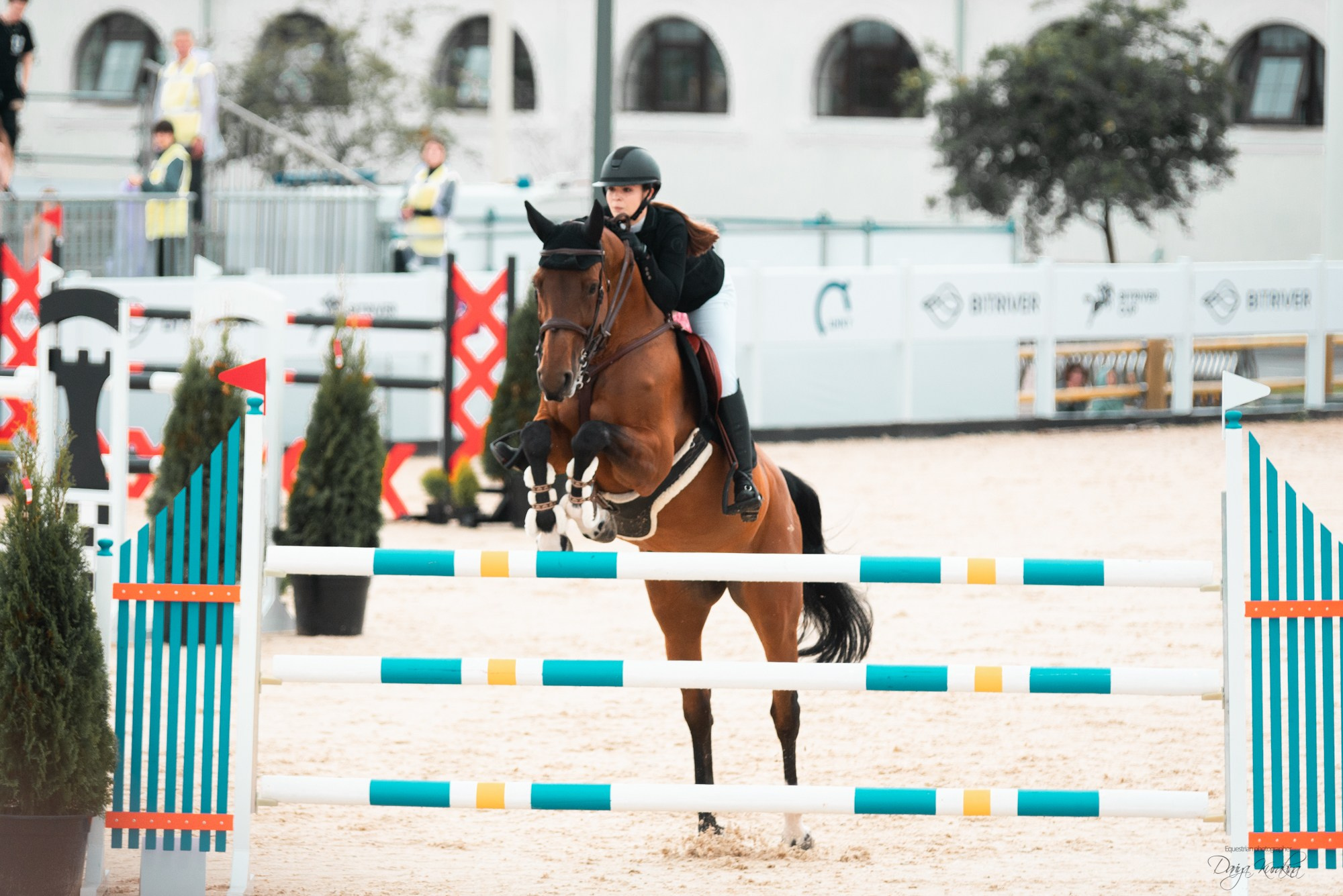 BITRIVER CUP 2023. Конный фотограф Куракина Дарья • Фотосессии с лошадьми