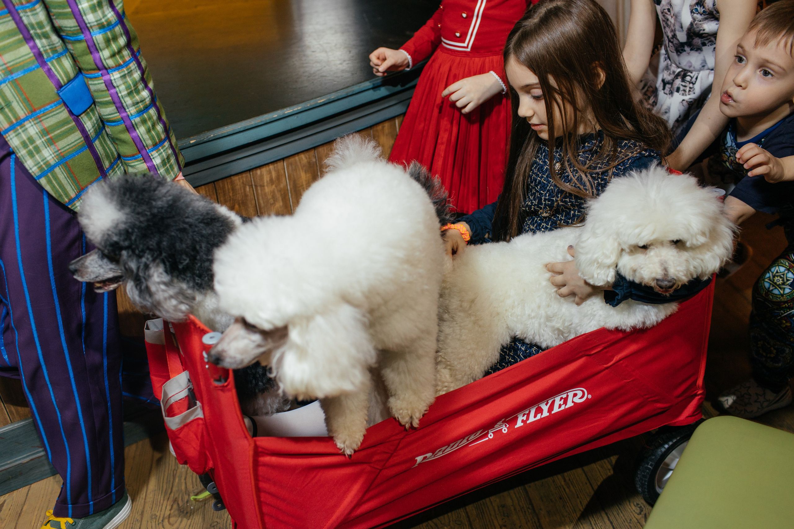 Алине 7 лет. Свадебный и семейный фотограф