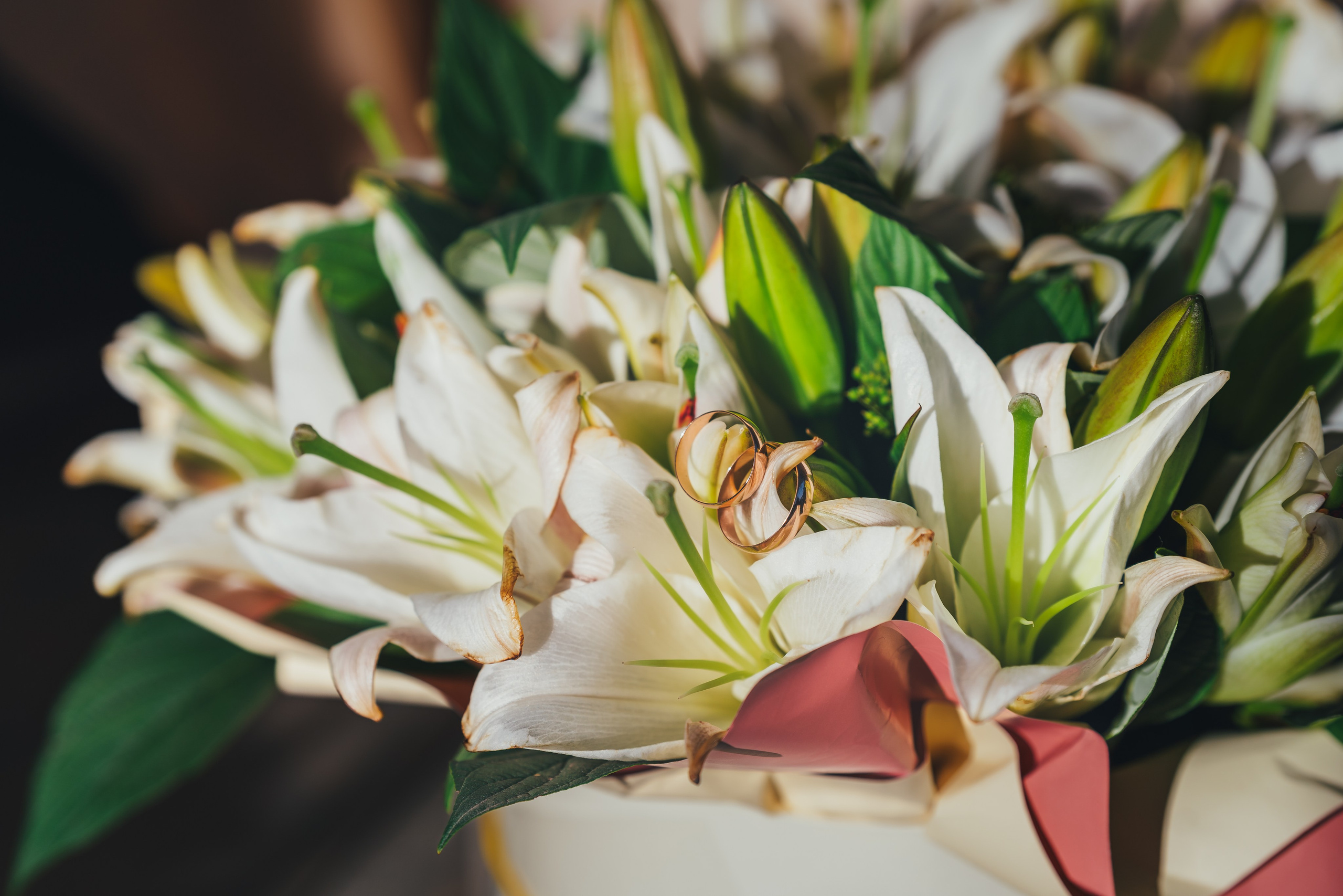 Наталья и Антон, ЗАГС Пушкино, Улиткино. Наталья Дукалова фотограф Щелково Королев Пушкино Москва Балашиха