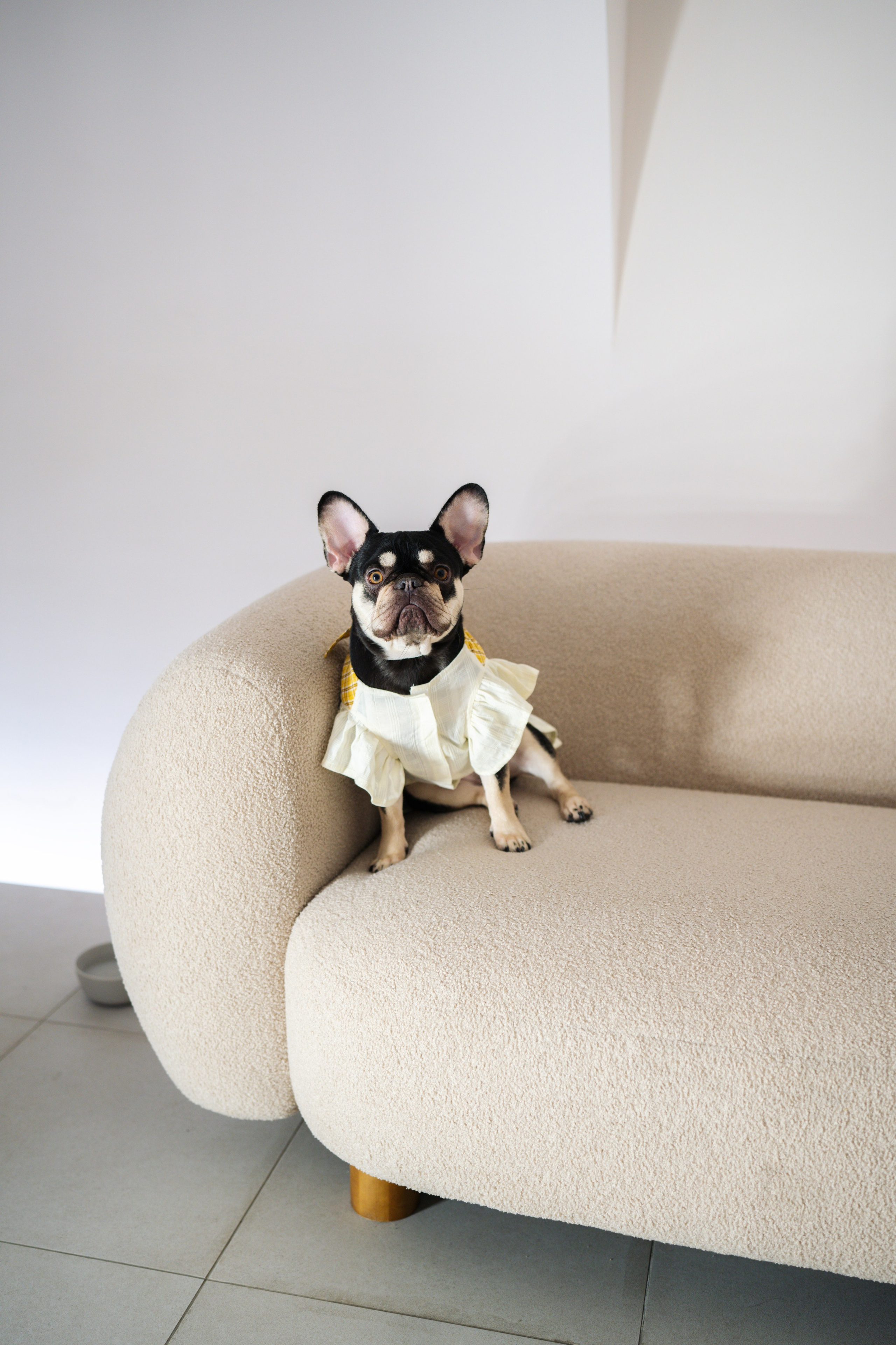 Юбилей 50 лет. Свадебный фотограф в Москве Кристина Чехова