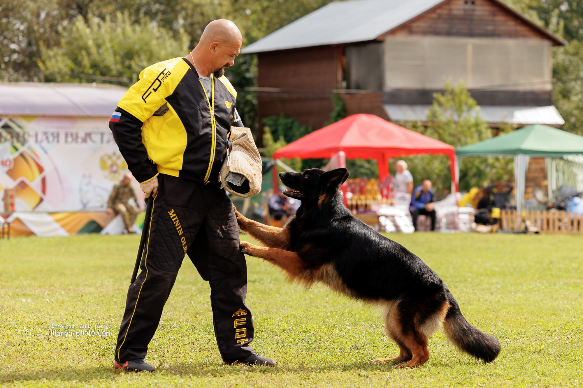 Фото немецких овчарок. Фотограф собак, фотограф-анималист Аня Титова (Titanya). Москва