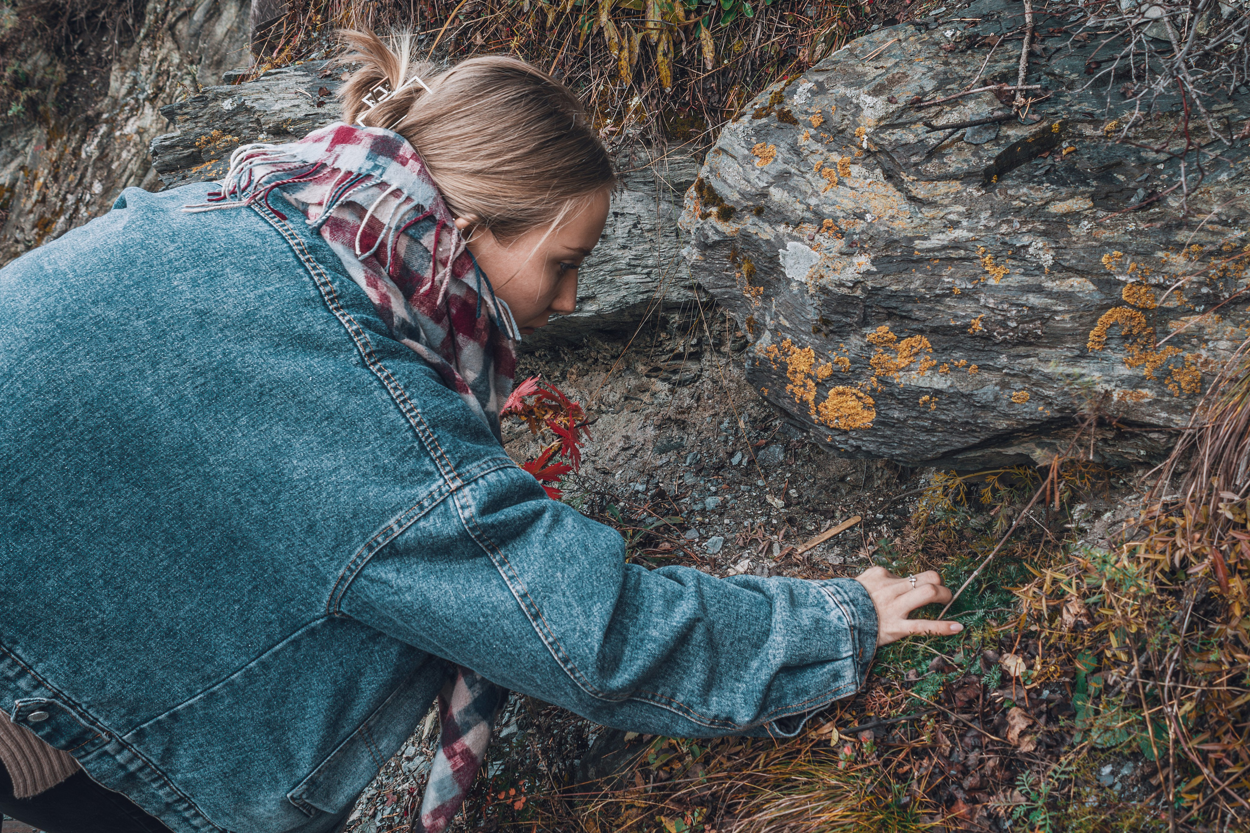 Фотографии Горного Алтая. Фотограф в Новокузнецке