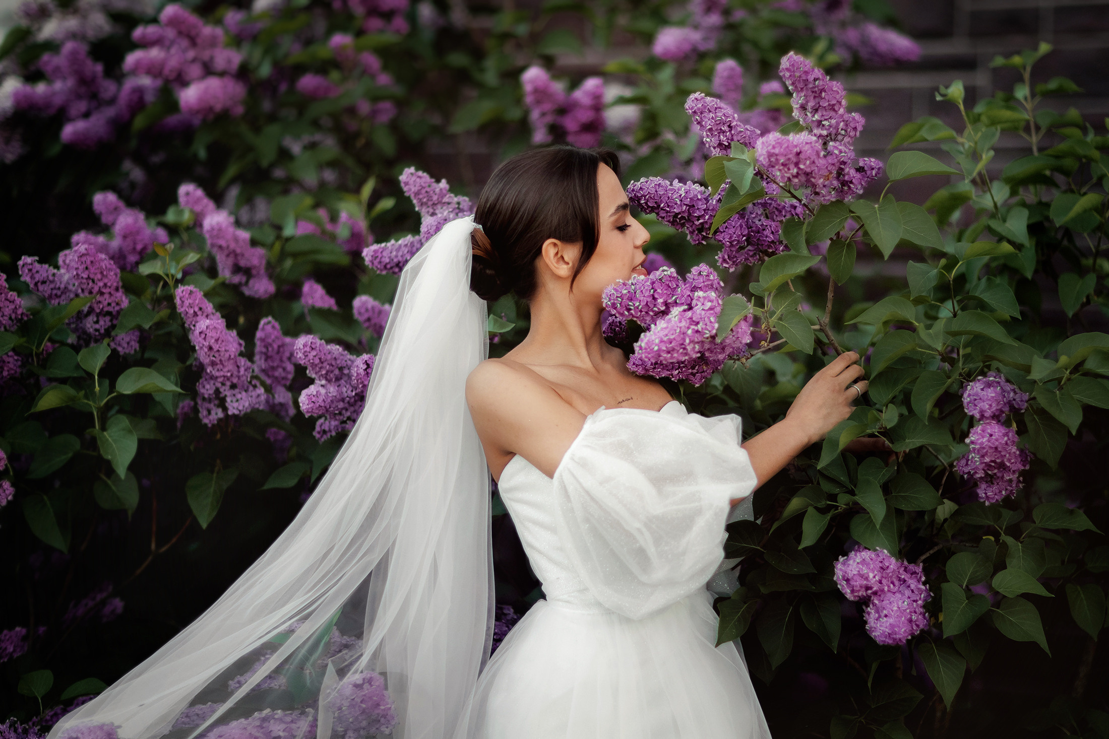 Алина и Даниил. Свадебный и семейный фотограф Татьяна Ласкина в Великом Новгороде