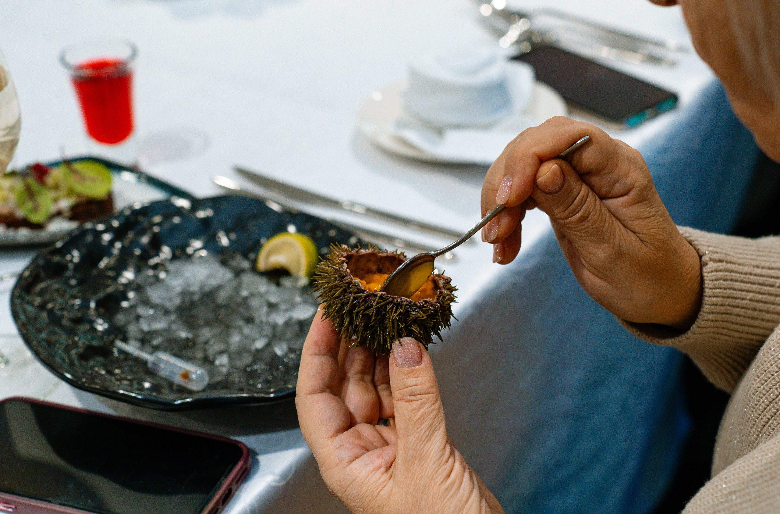 Гастротур. Туманов Кирилл Фото, видео и аэросъемка в Мурманской области