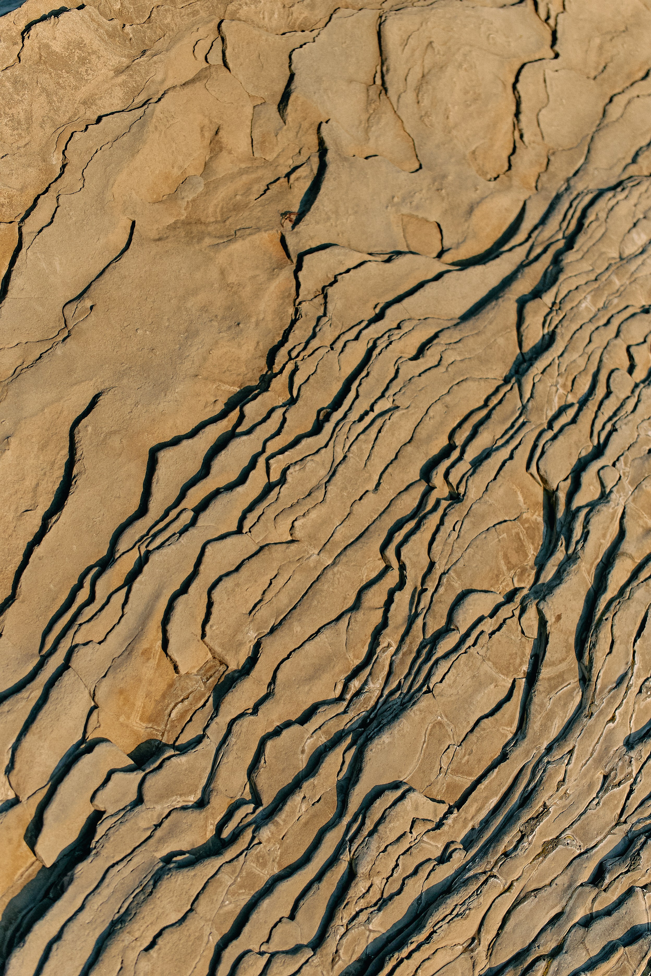 Юг России. Профессиональный Фотограф во Владимире, в Москве и в Суздале — Полина Романычева