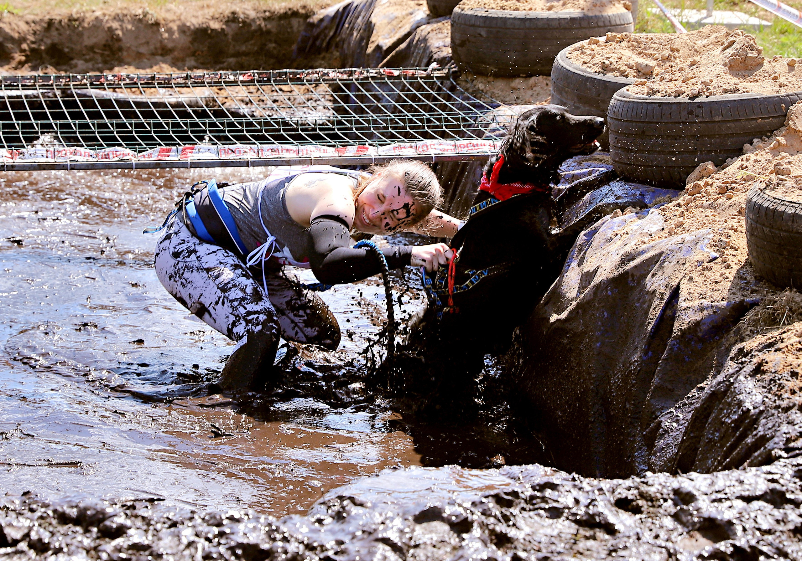 Хвостатый драйв. Семейный и детский фотограф в Москве и МО Елена Москвичева