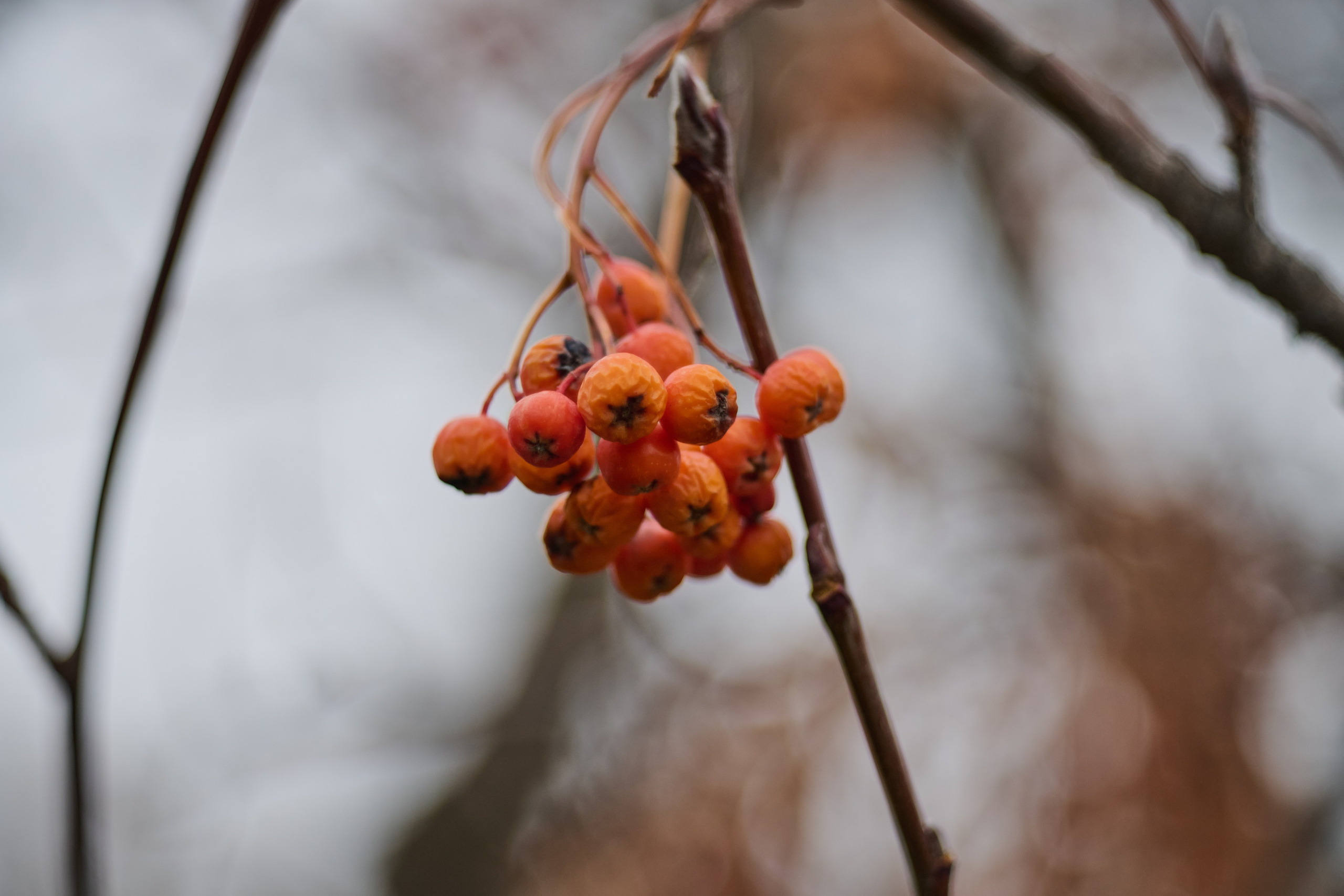Лисичанск. Луганская область. Фотопроект «Территории»