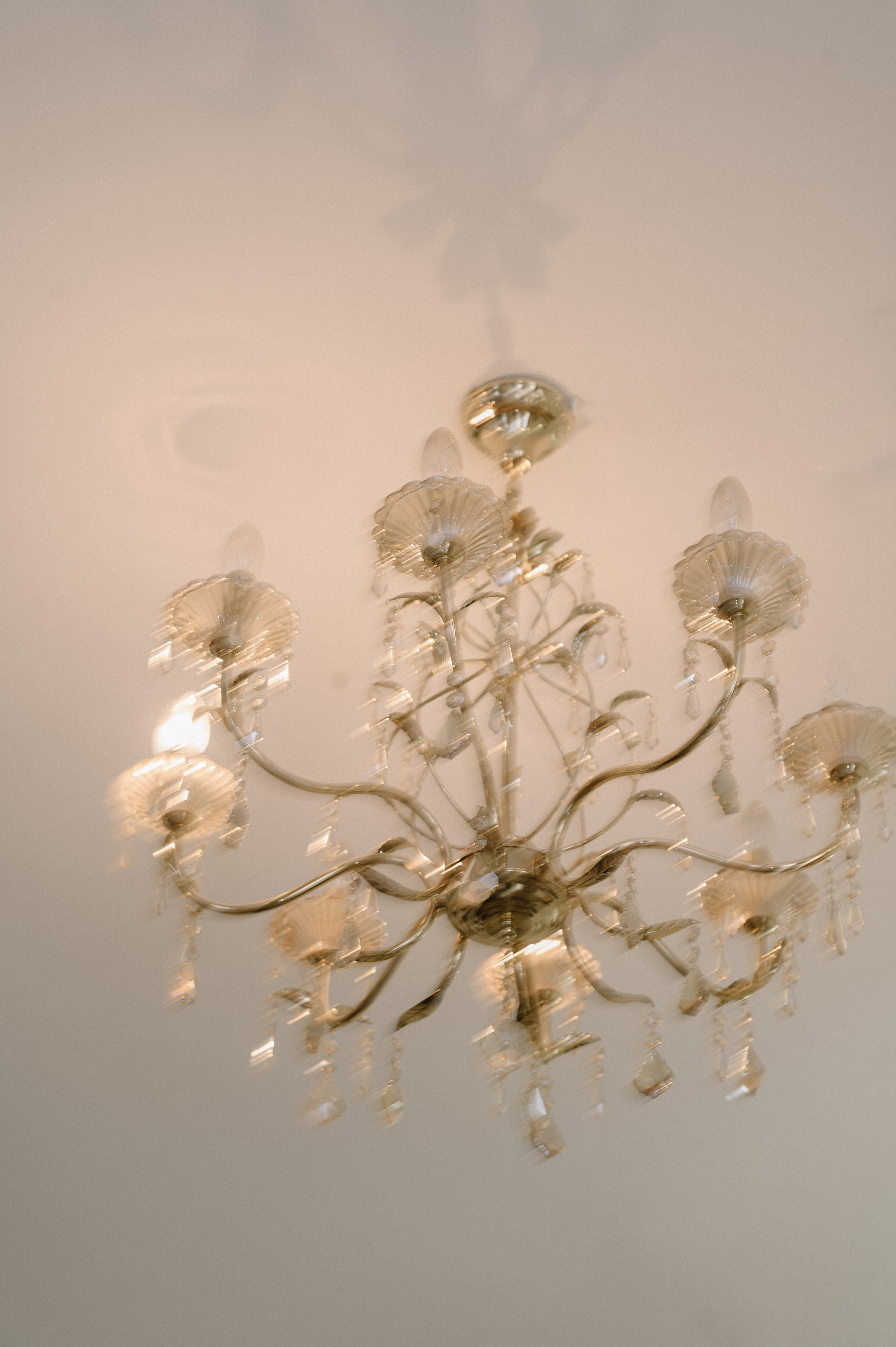 Владимир и Елизавета. Свадебный фотограф