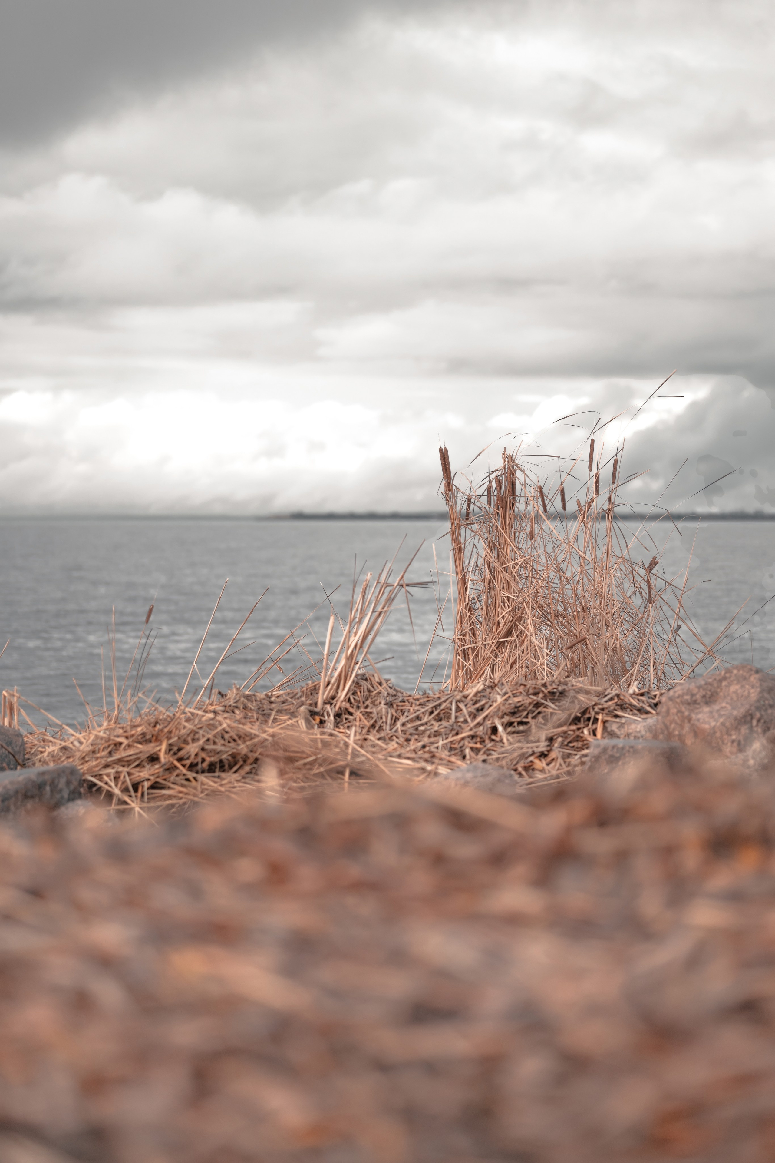 1-й Северный форт Кронштадт