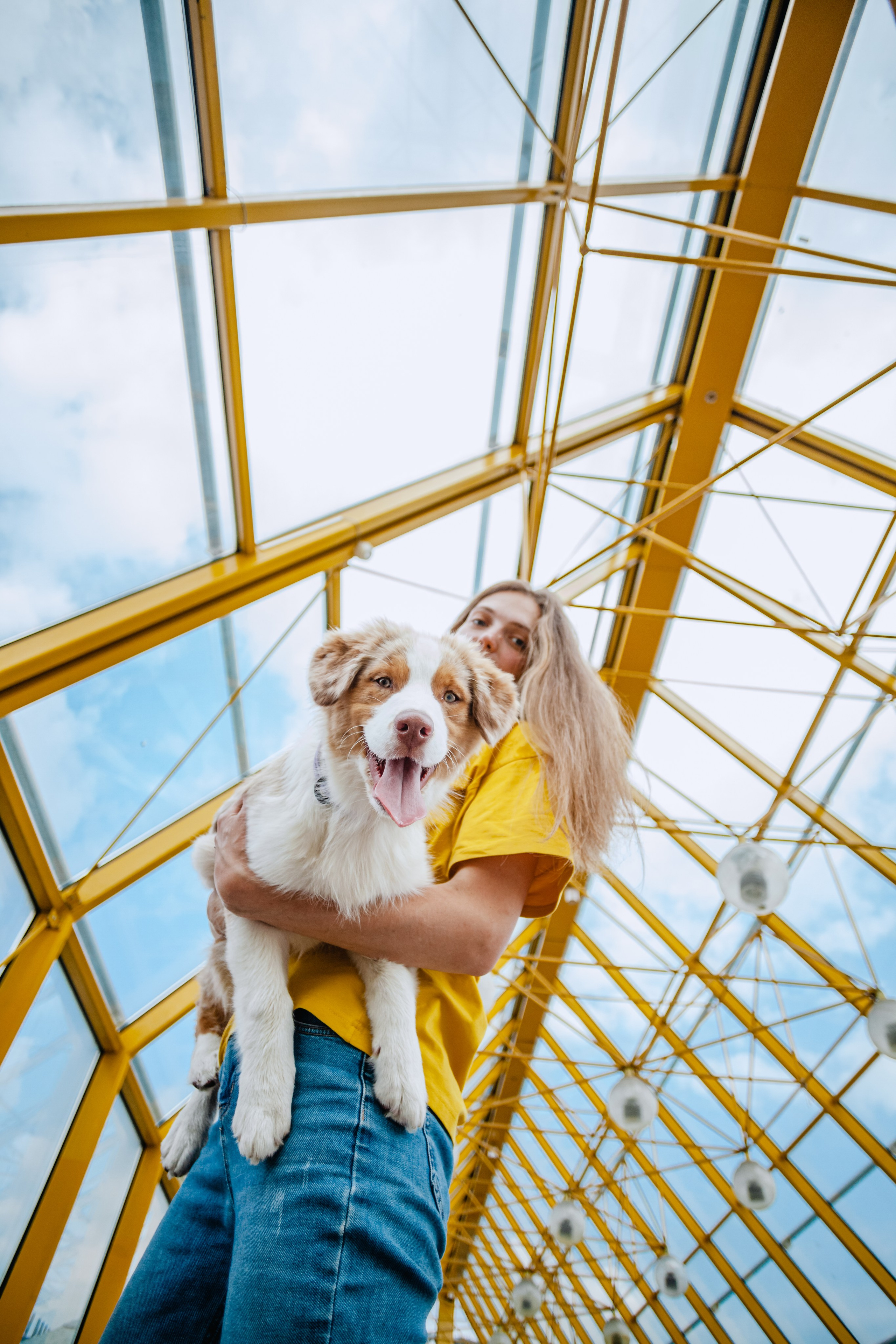 Андреевский мост. Фотограф-анималист Татьяна Степанова