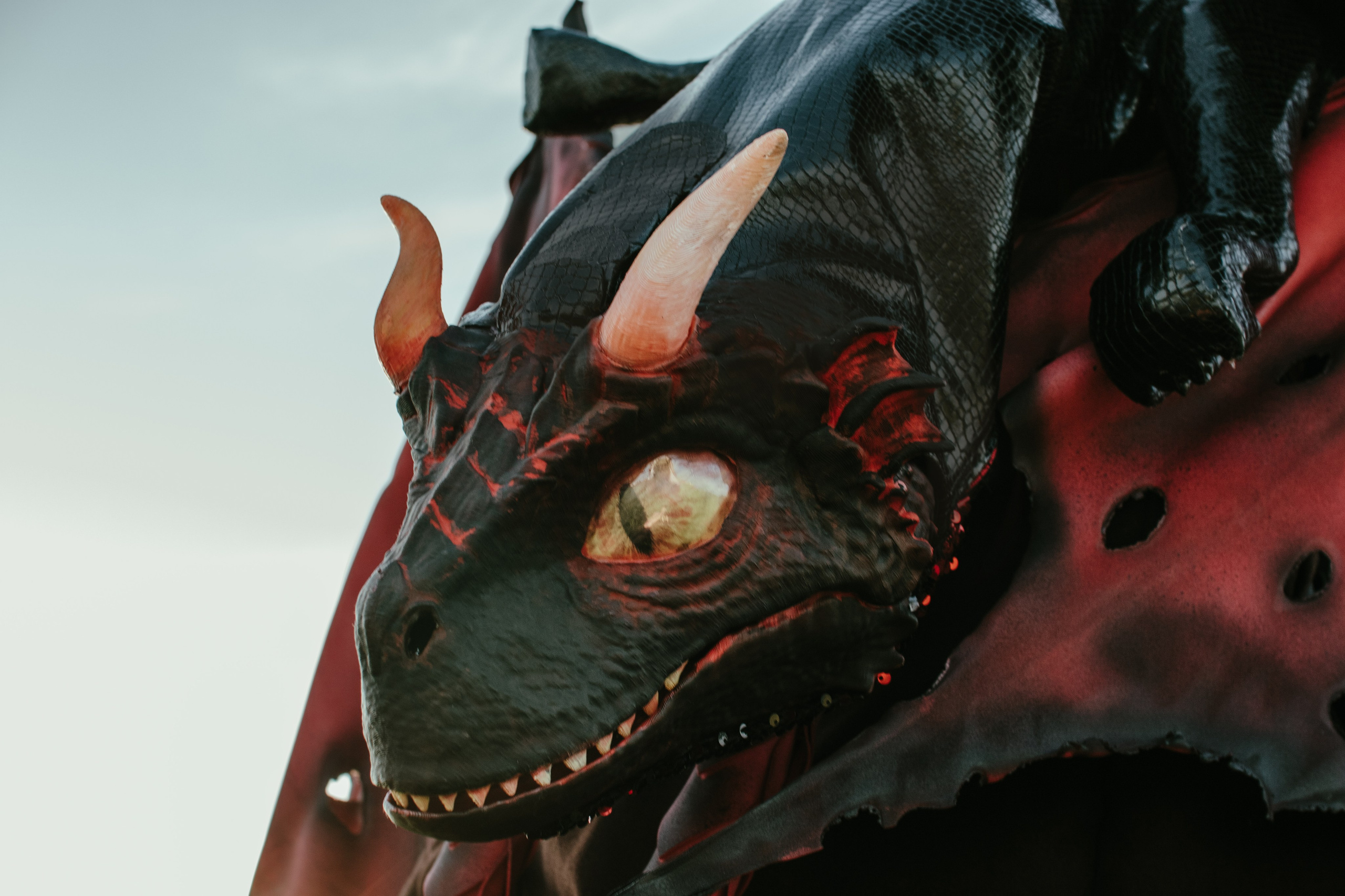 Рассвет. Дракон