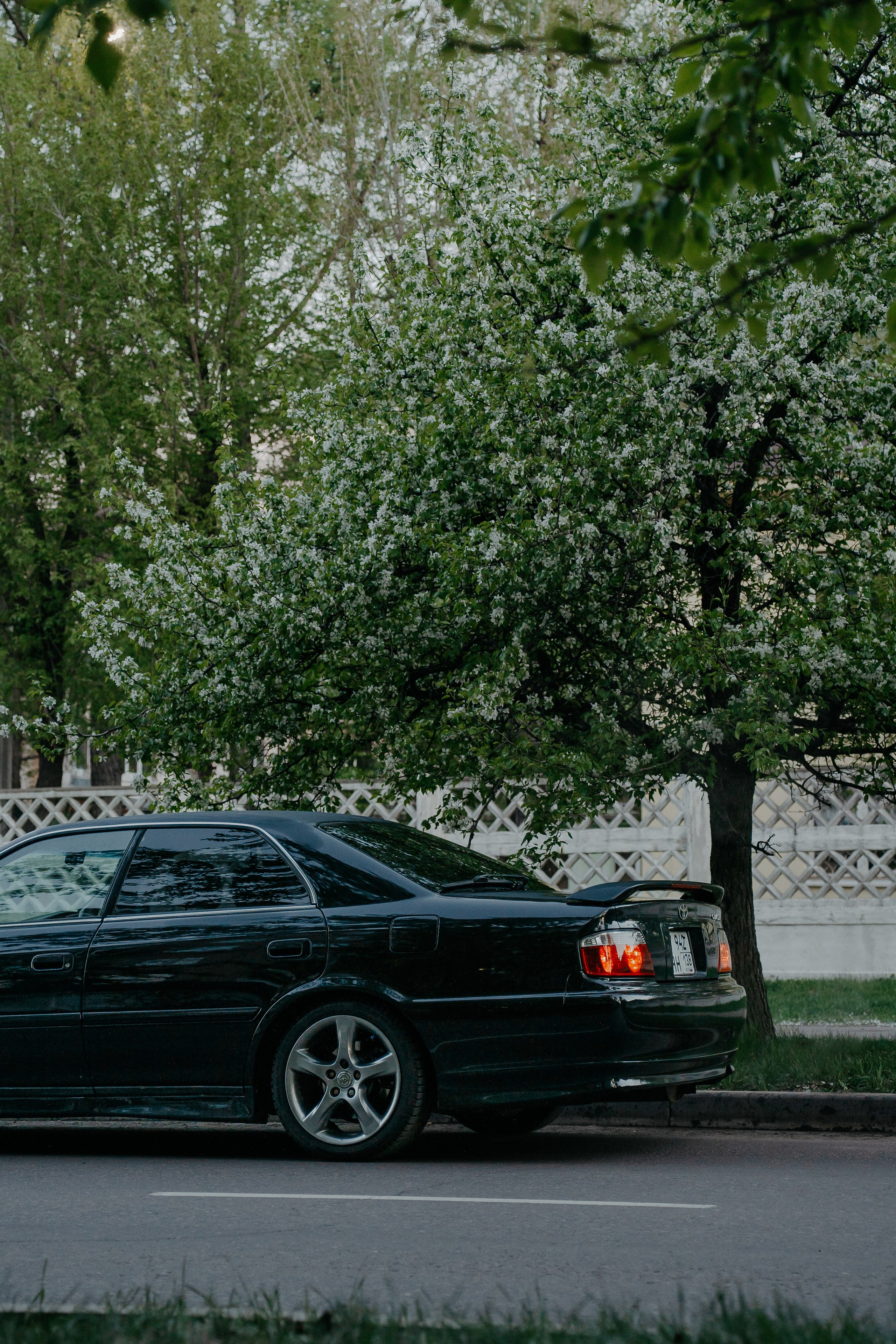 Altezza & Chaser 25'. Фотограф, видеограф и пилот дрона на Байкале