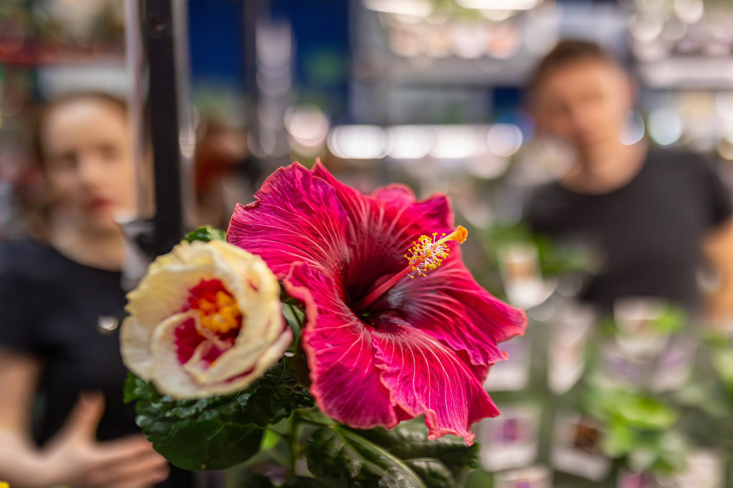 Монстериум апрель 2026. Александра Куликова фотограф, Москва