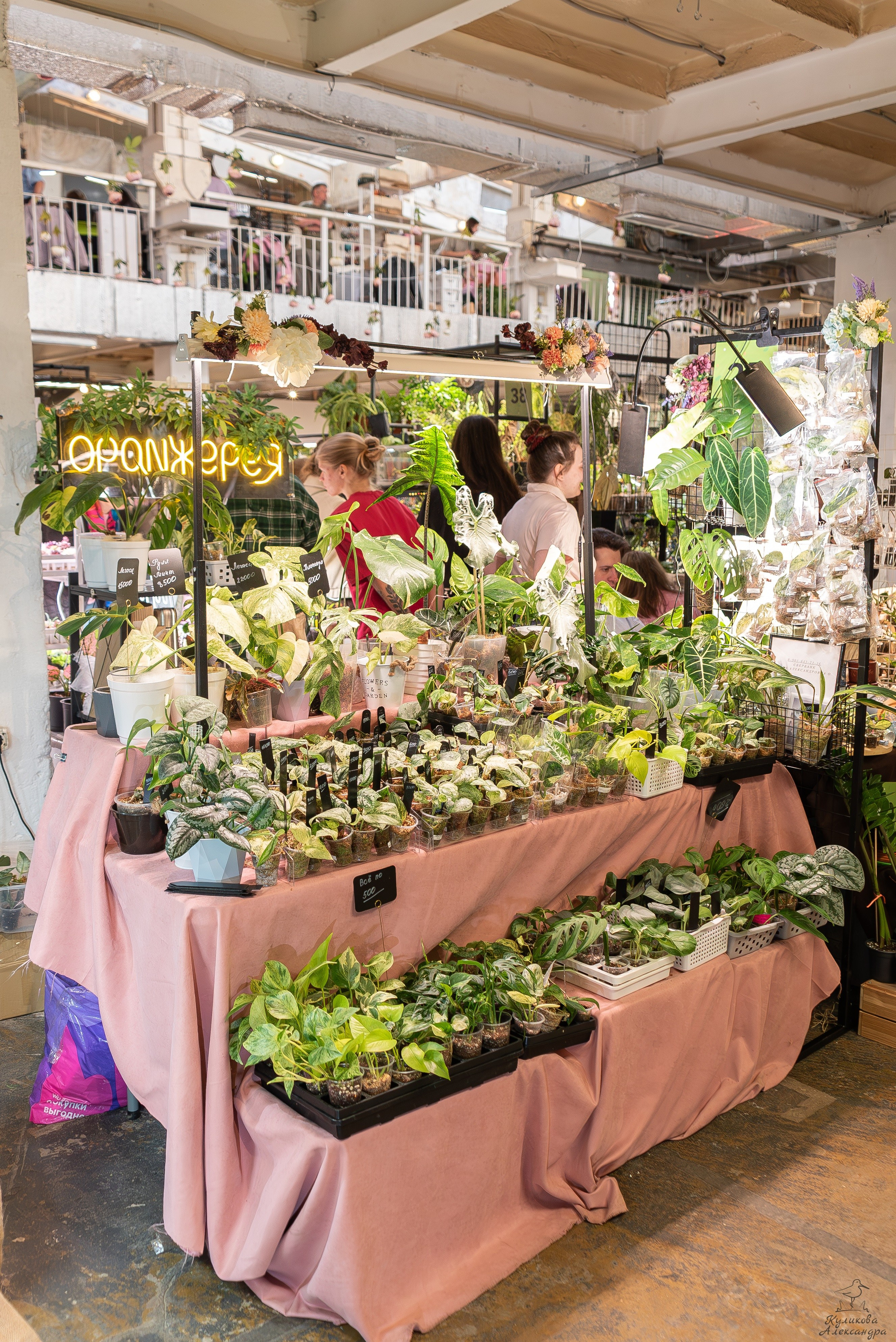 Гроубокс Артплей апрель. Александра Куликова фотограф, Москва
