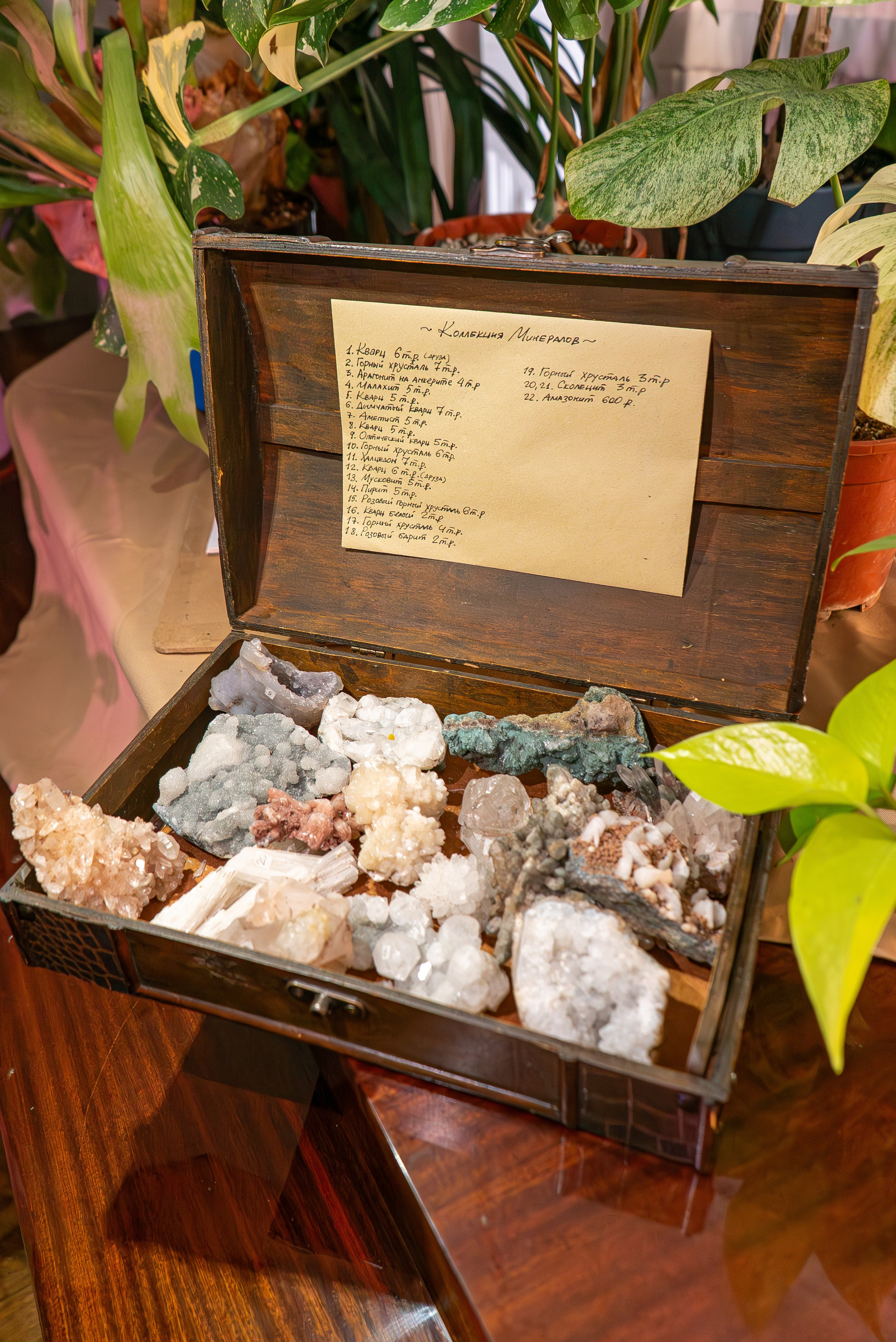 Усадьба. Александра Куликова фотограф, Москва