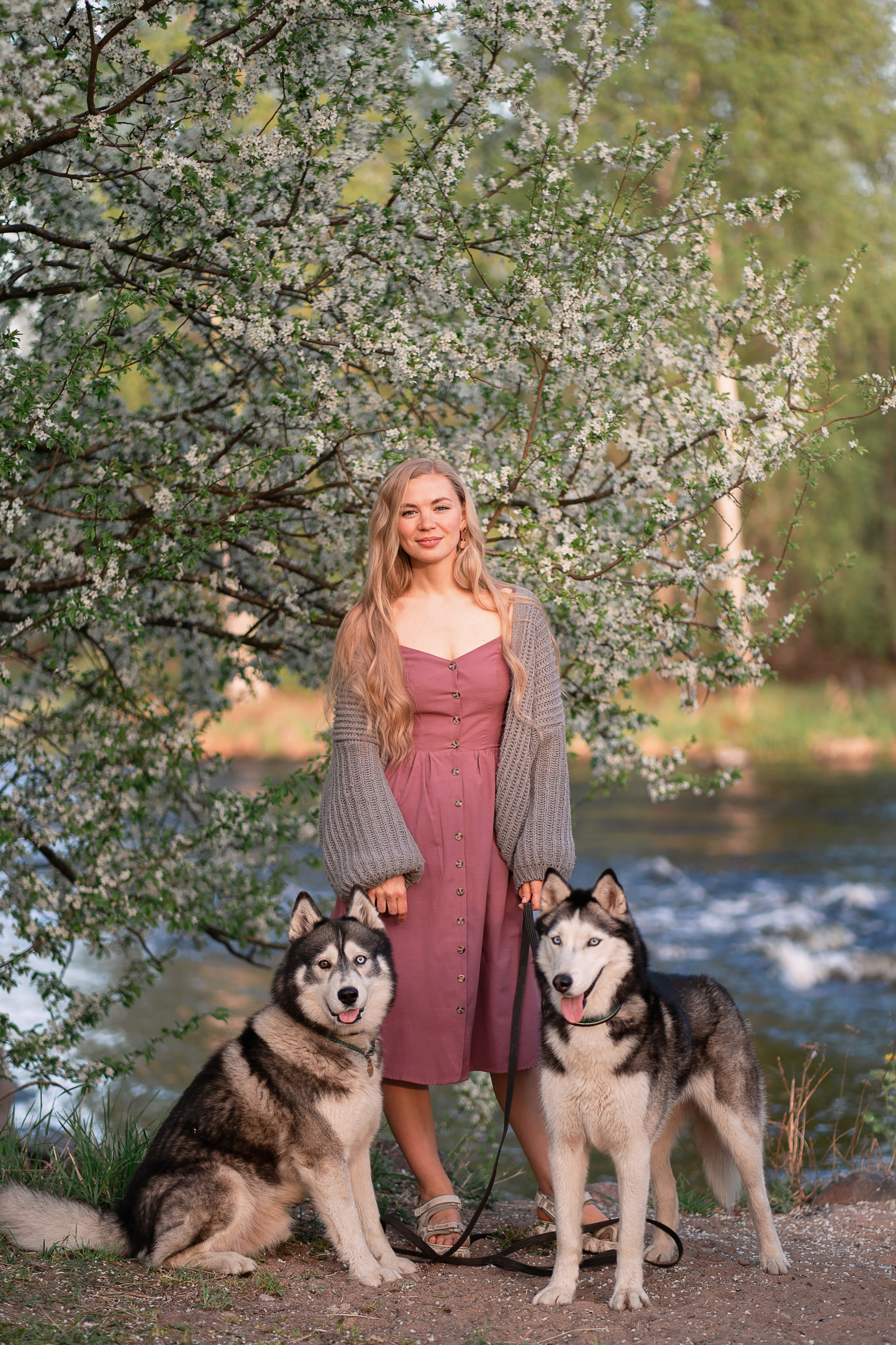 Хвостики. Главная