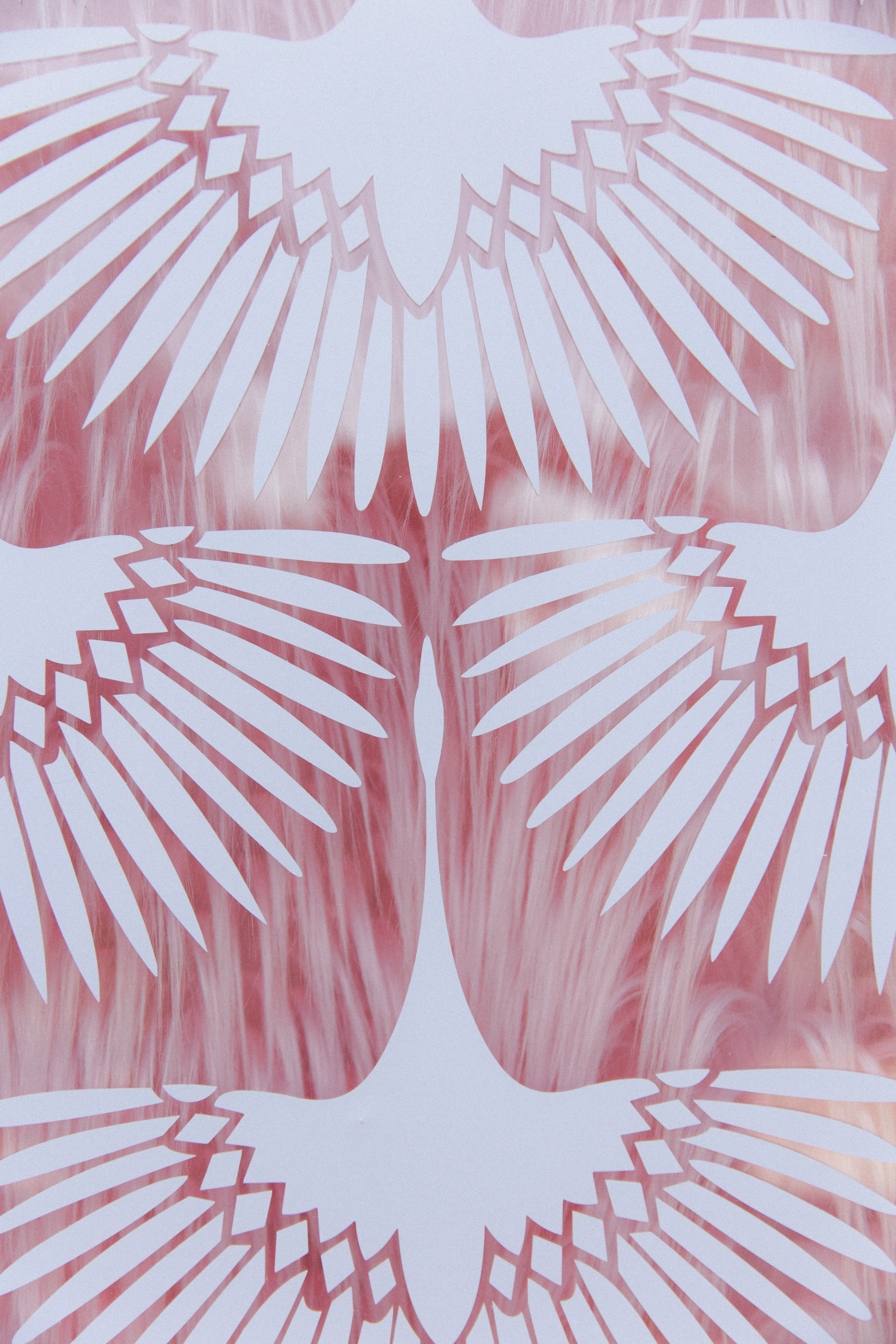 Журавли. Свадебный фотограф в Севастополе и Крыму. Видеограф на свадьбу Крым, Севастополь, Ялта, Симферополь