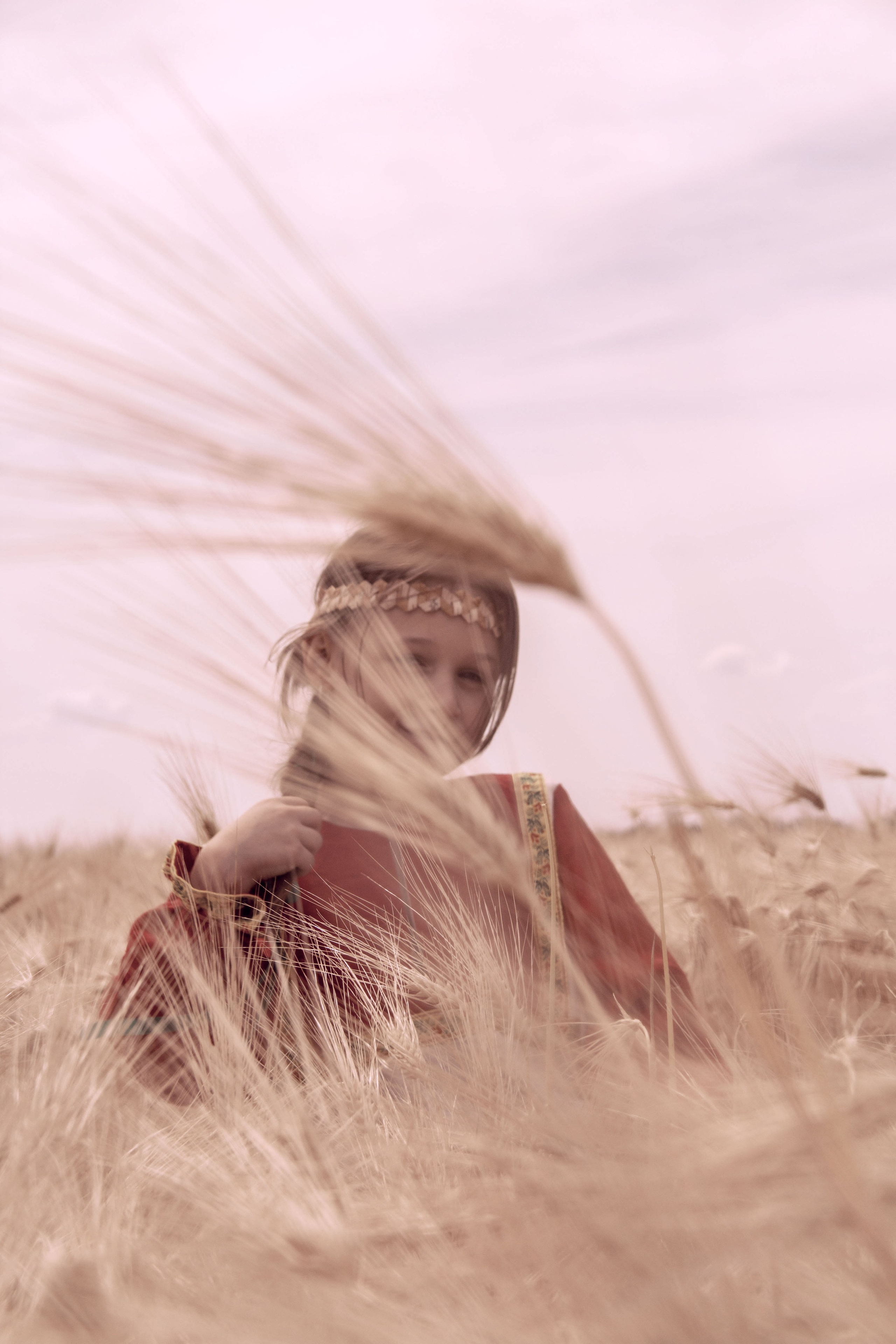 Поле золотое