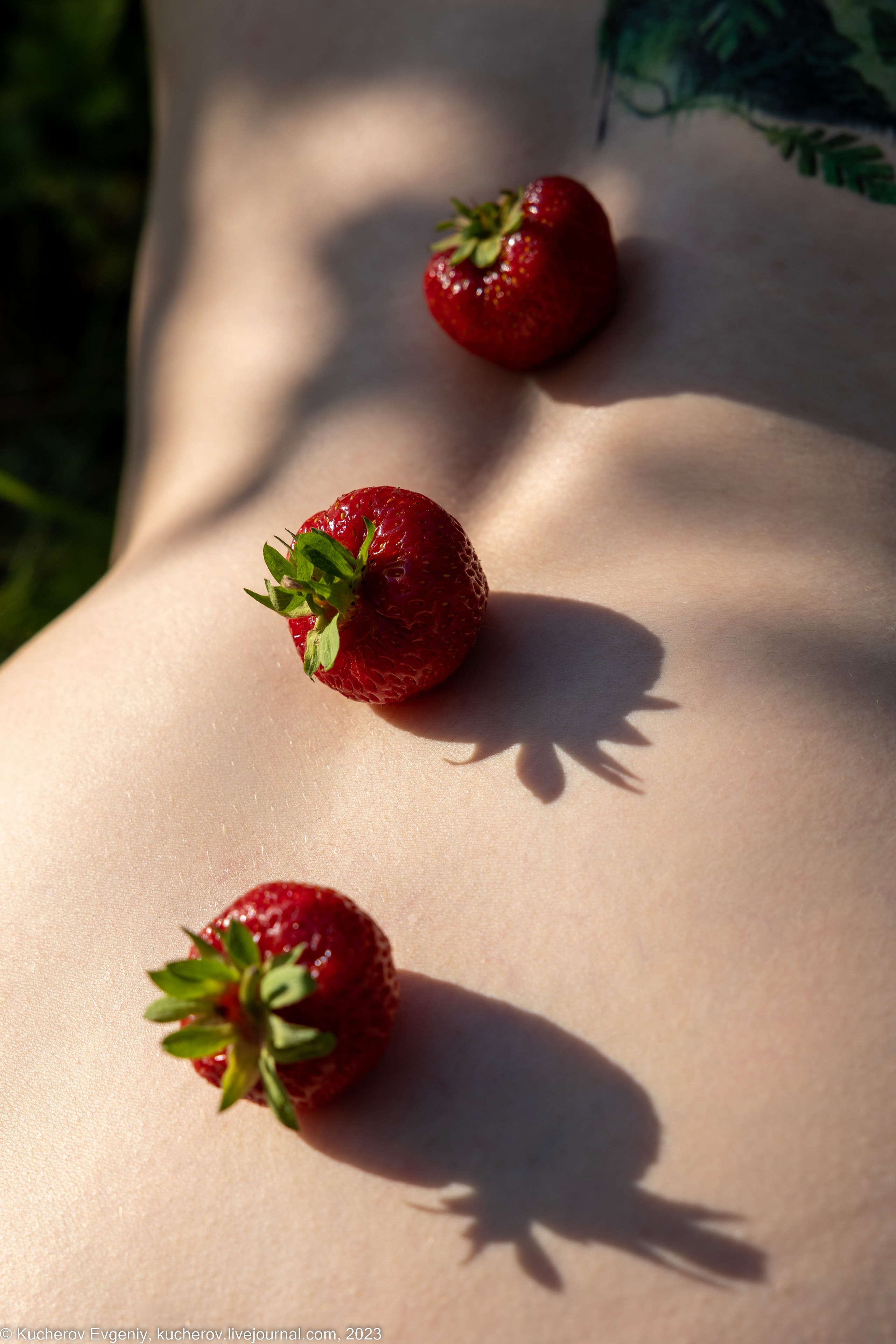 Ню. Кучеров Евгений. Фотограф