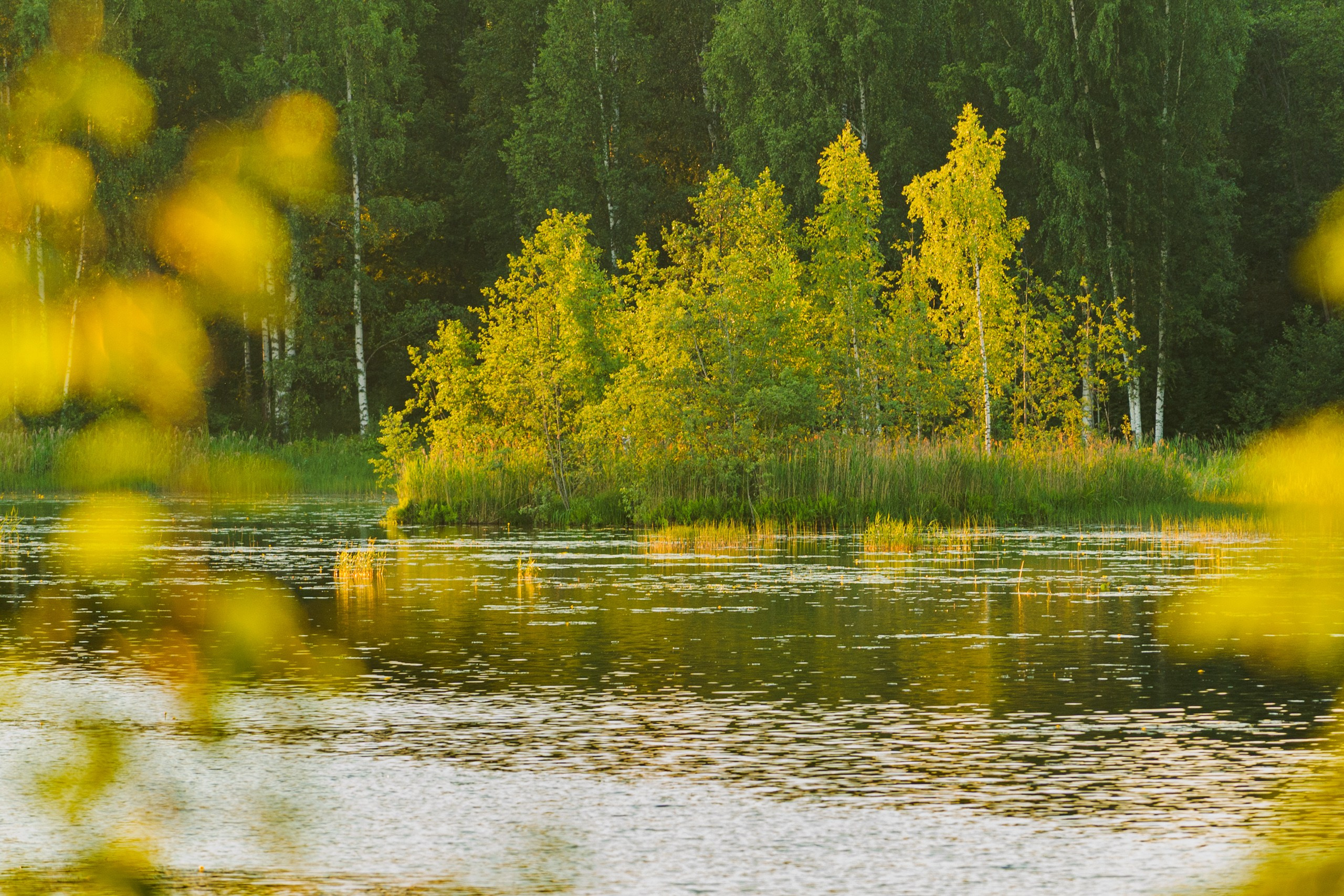 Фотографии Летние сборы ШБИ МОН 2008 г. Школа Боевых Искусств «МОН»