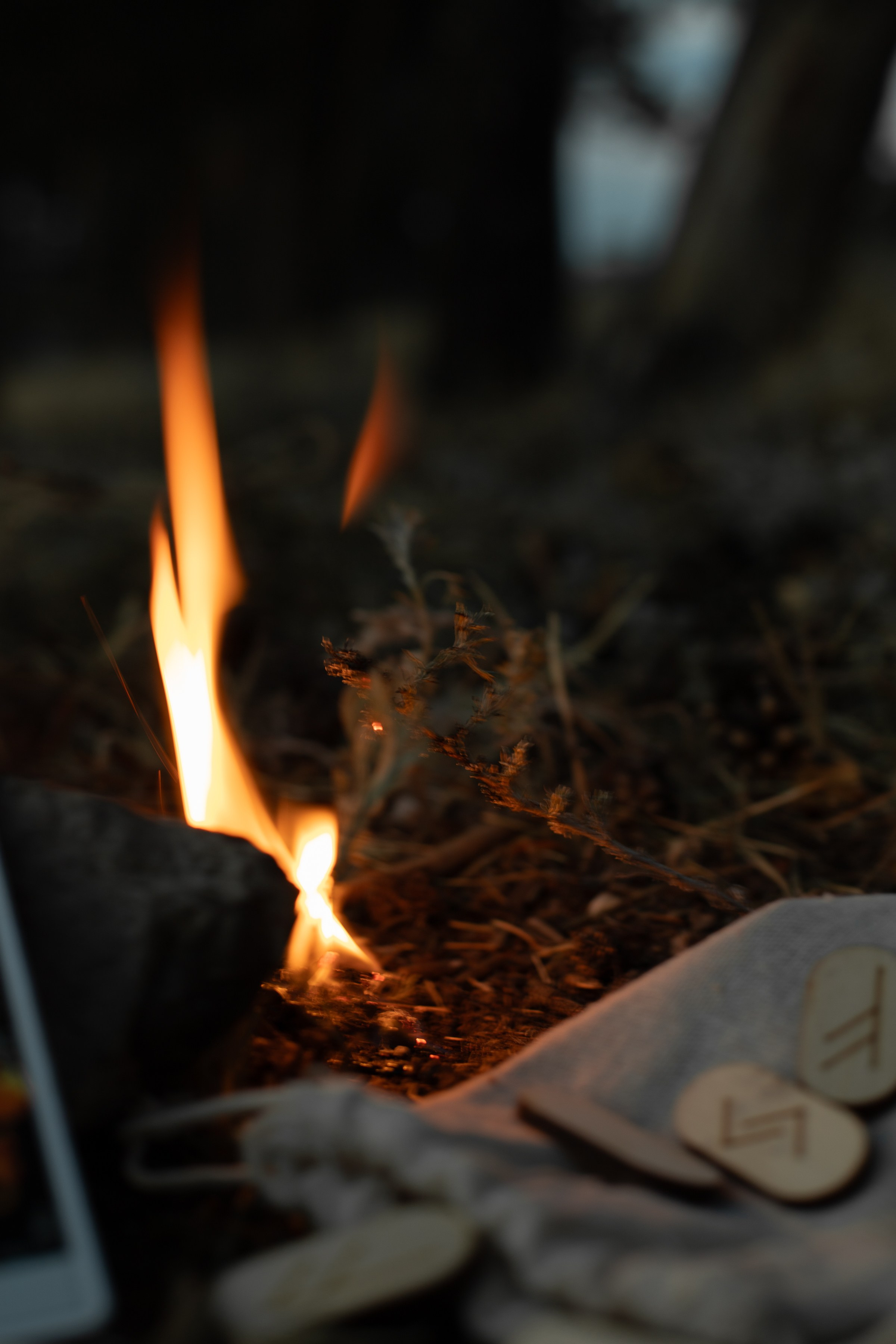 Настя. Таро. Фотограф в Волгограде