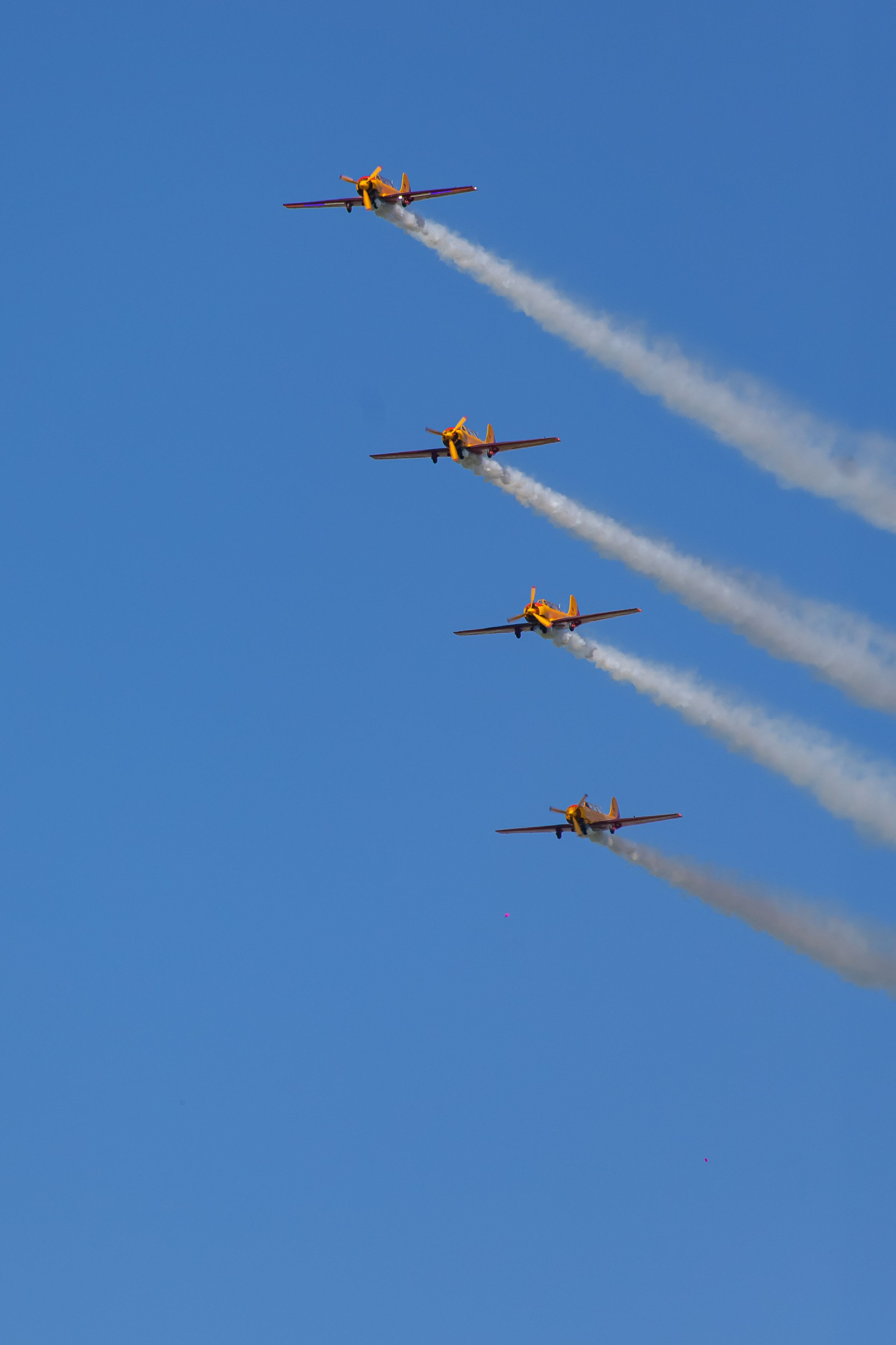 Крылья Пармы 2025 г. KATERINA VINOKUROVA ФОТОГРАФ ПЕРМЬ