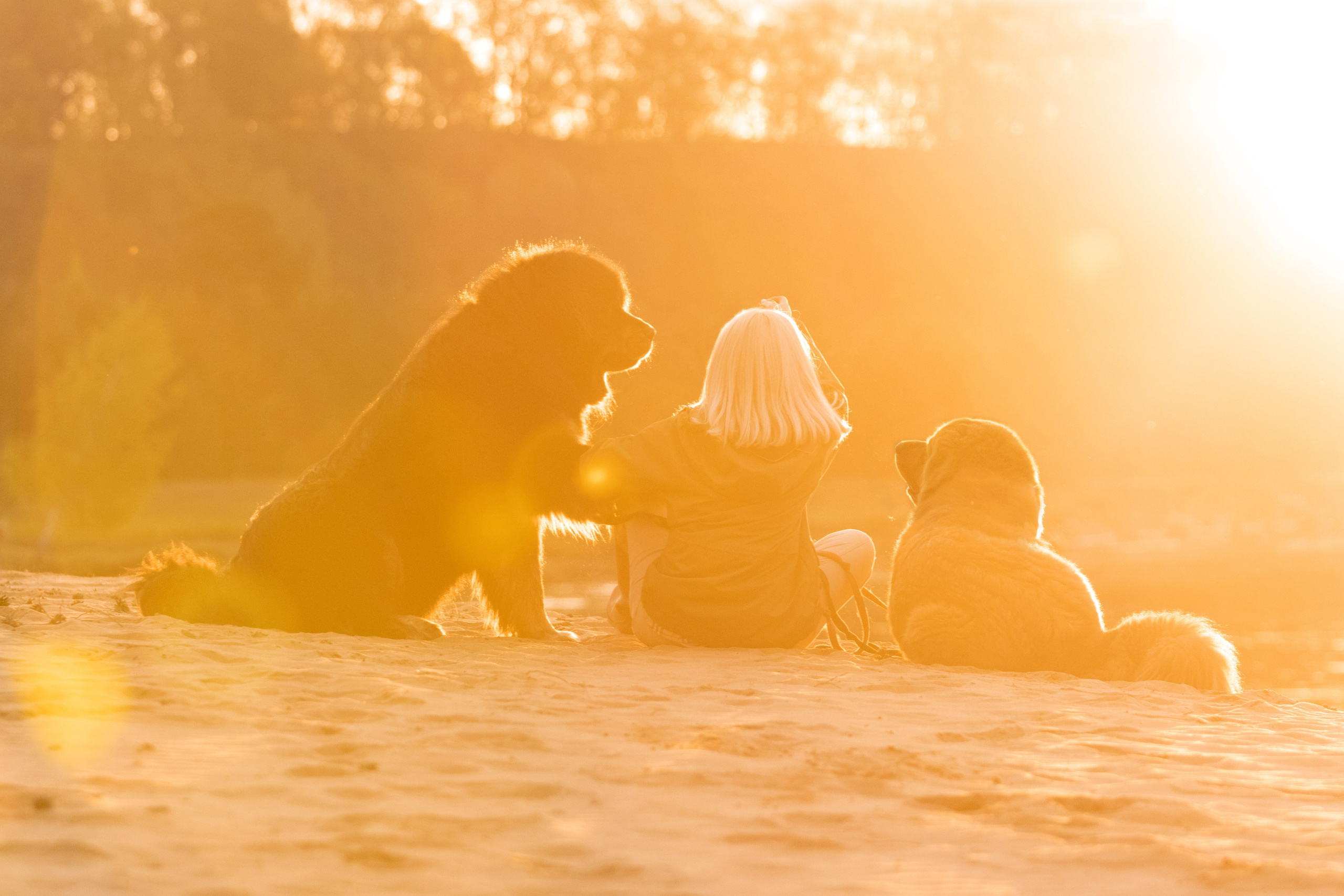 Фотограф — анималист в Москве и области Ольга Петракова