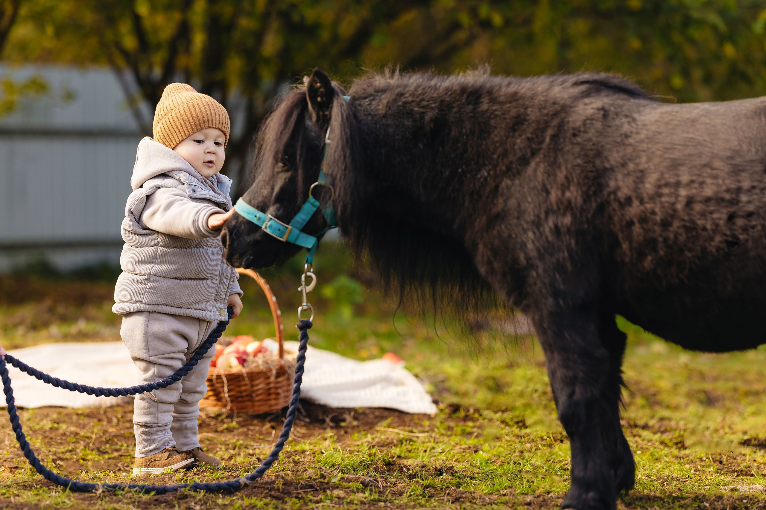 2024.10.02 Илья и лошадка. Ирина Бешляга. Фотограф в Москве и по всей России