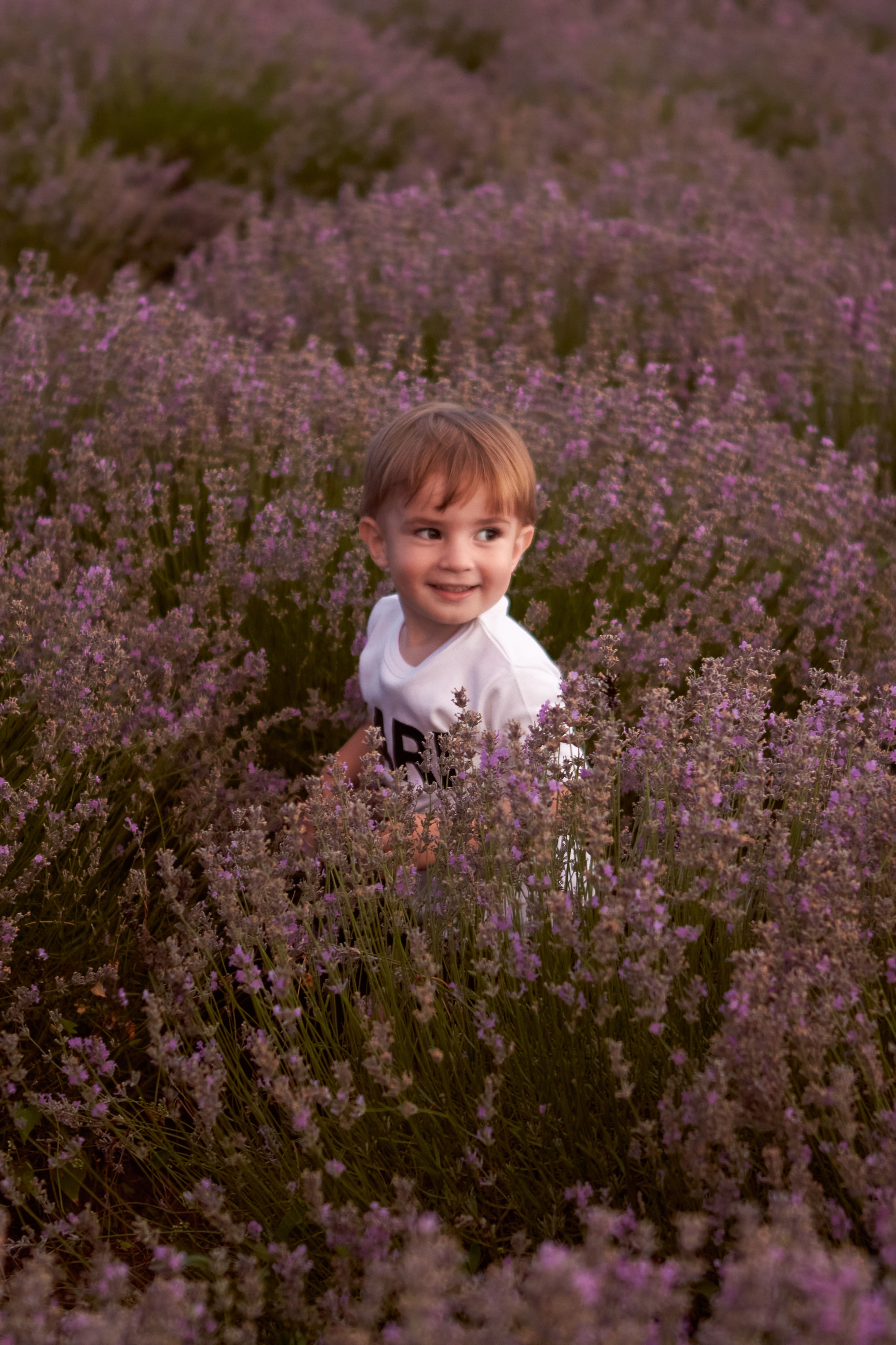 2021.06.22 Лаванда. Ирина Бешляга. Фотограф в Москве и по всей России