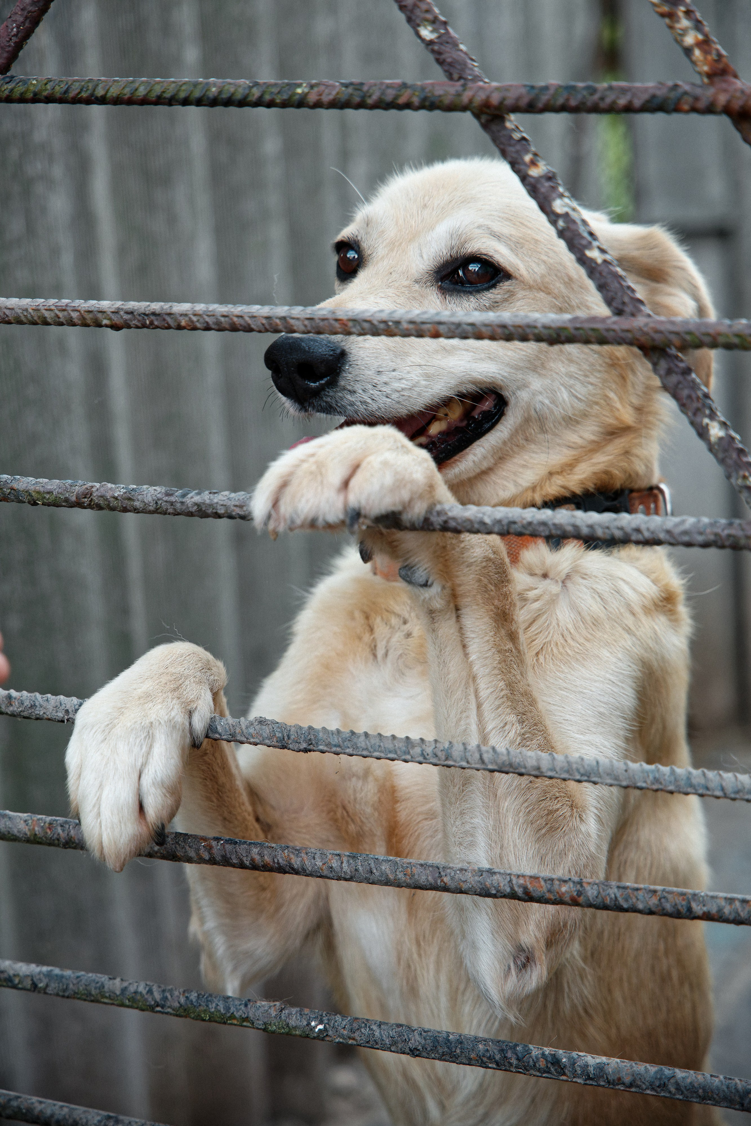 Семья Даниловых. Семейный фотограф — Макс Белогрудов