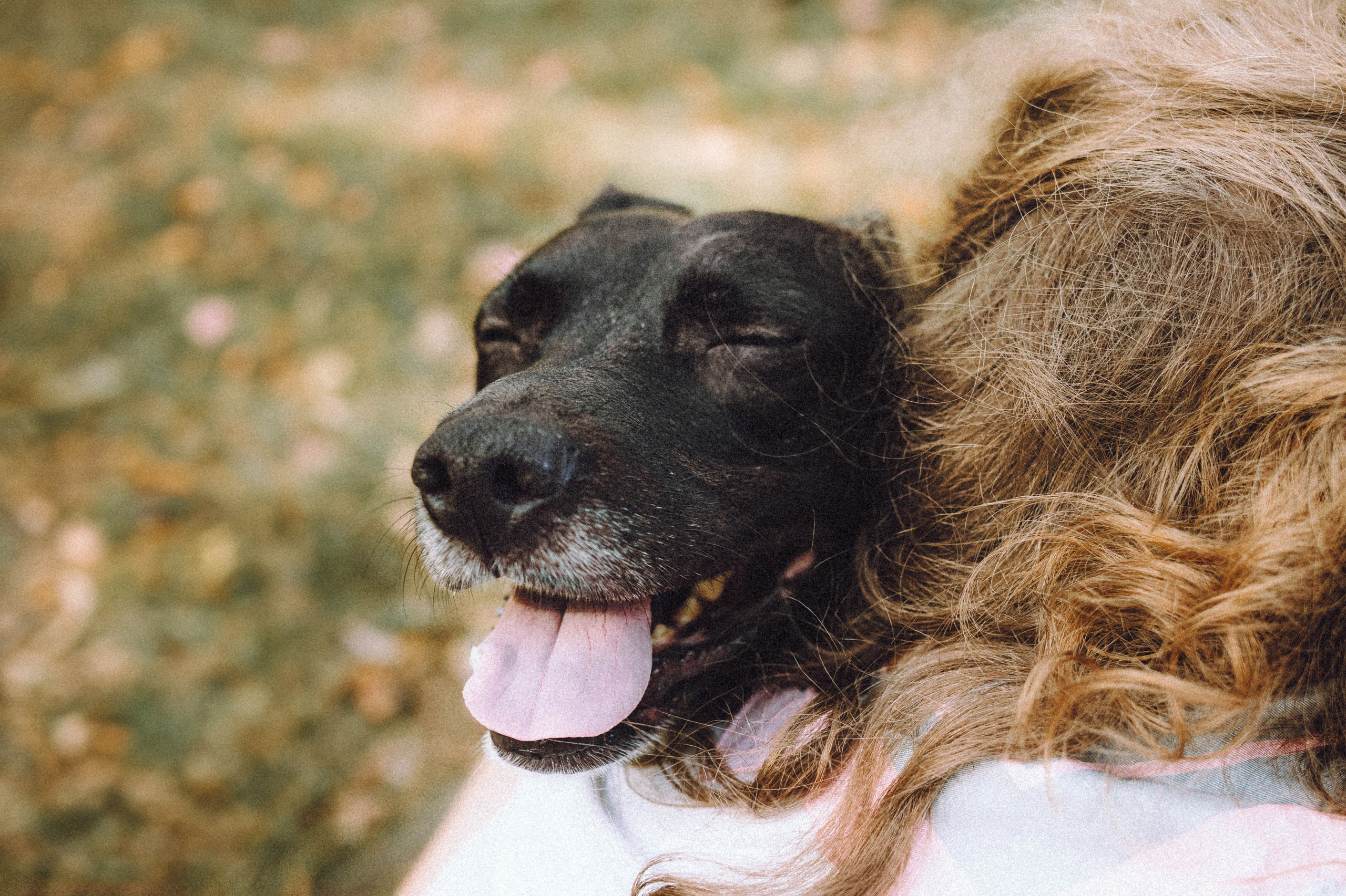 Ксюша, Ваня и Рамона