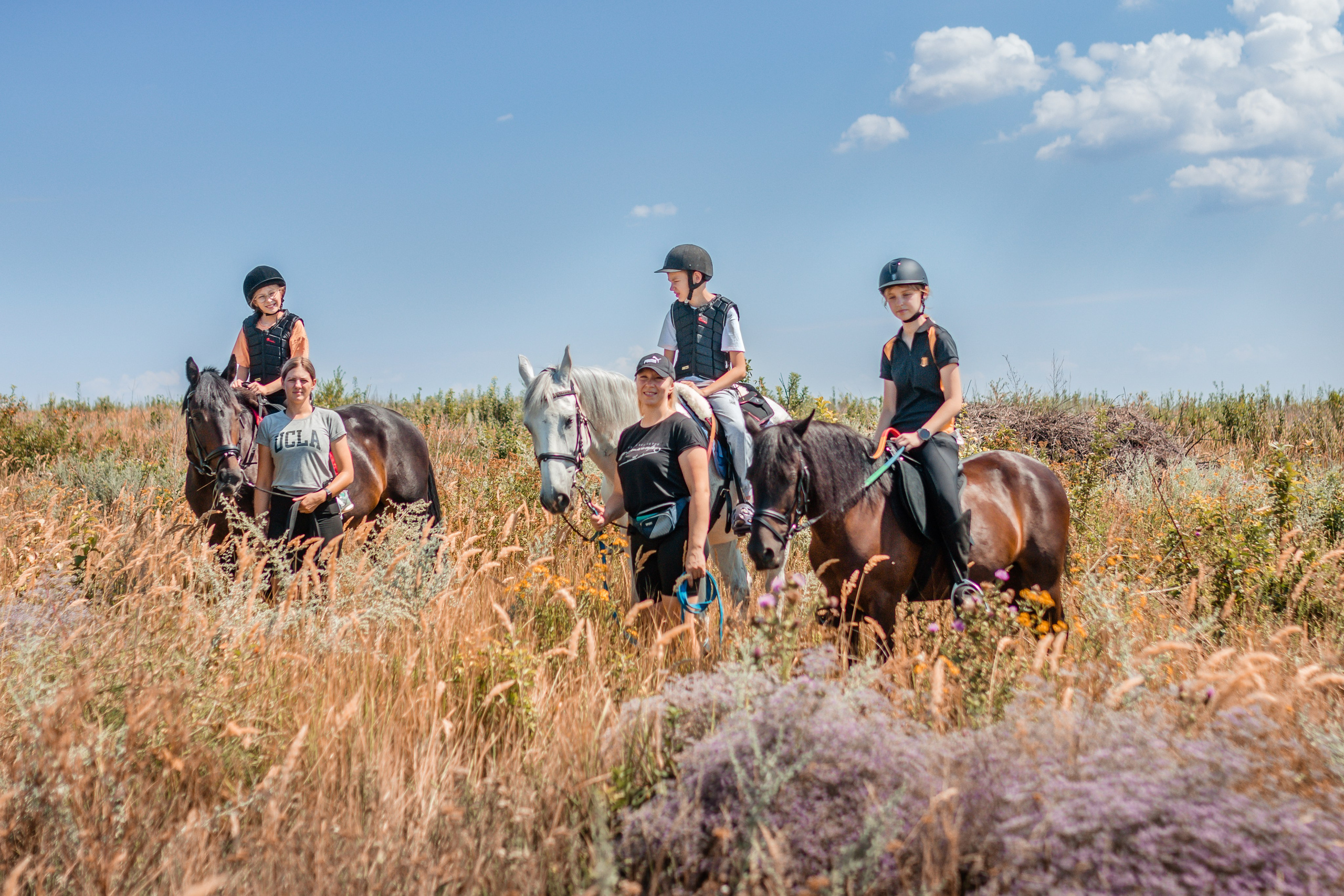 Выезды в поля на лошади