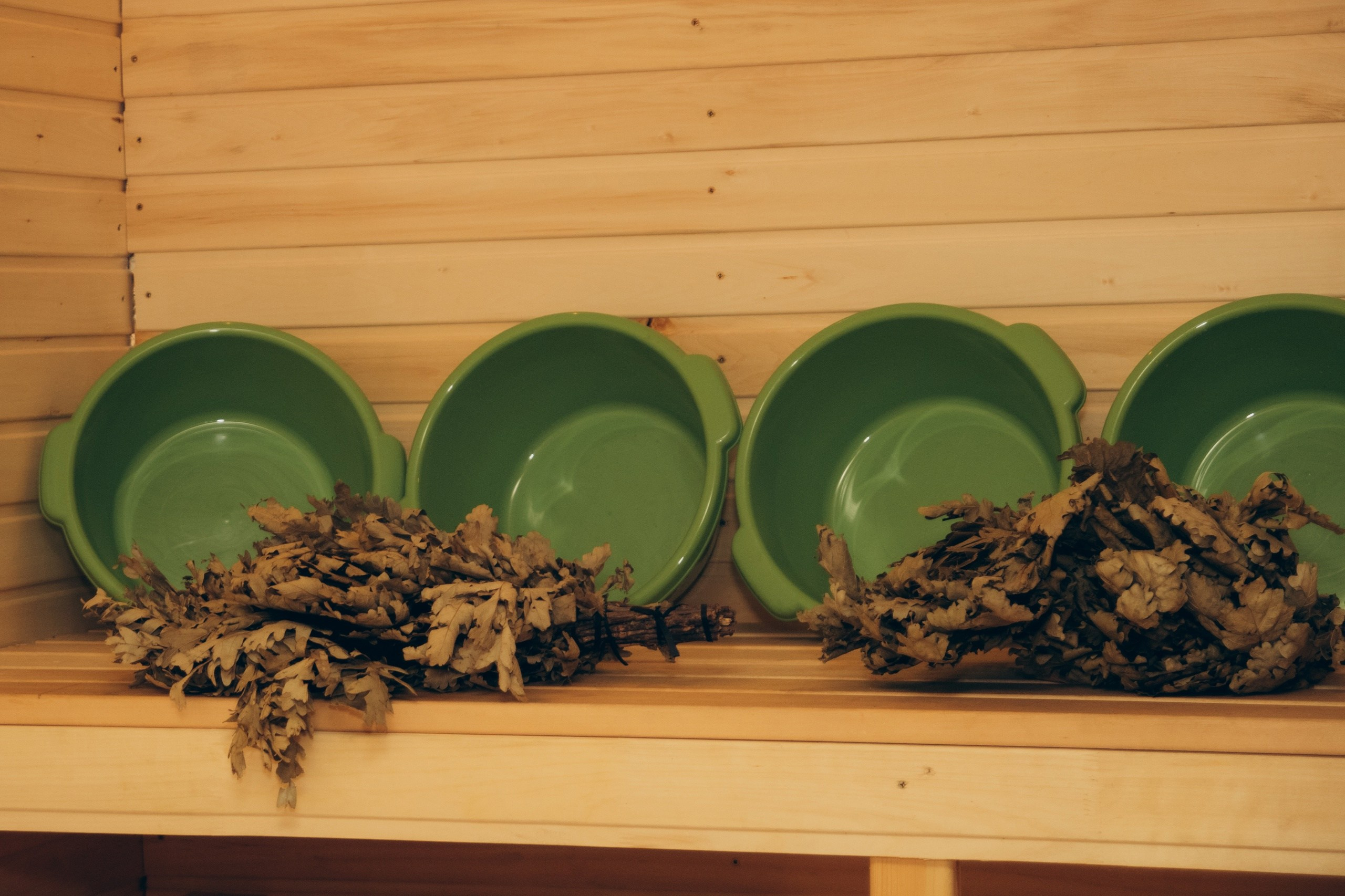 Изумрудный город — ретритный центр в лесу Натальи и Алексея