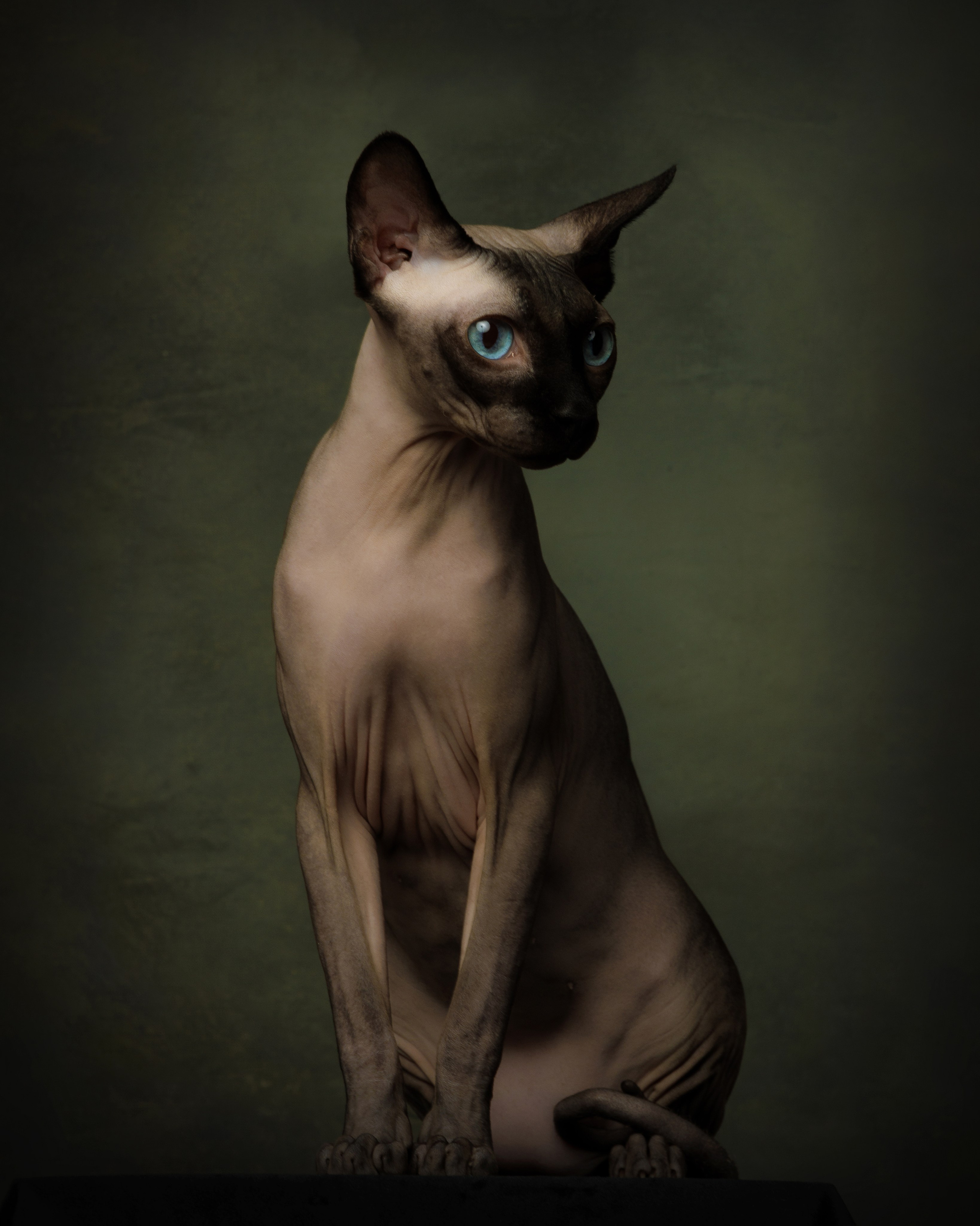 Фотонатюрморты. Савельева Ольга фотохудожник-портретист Москва