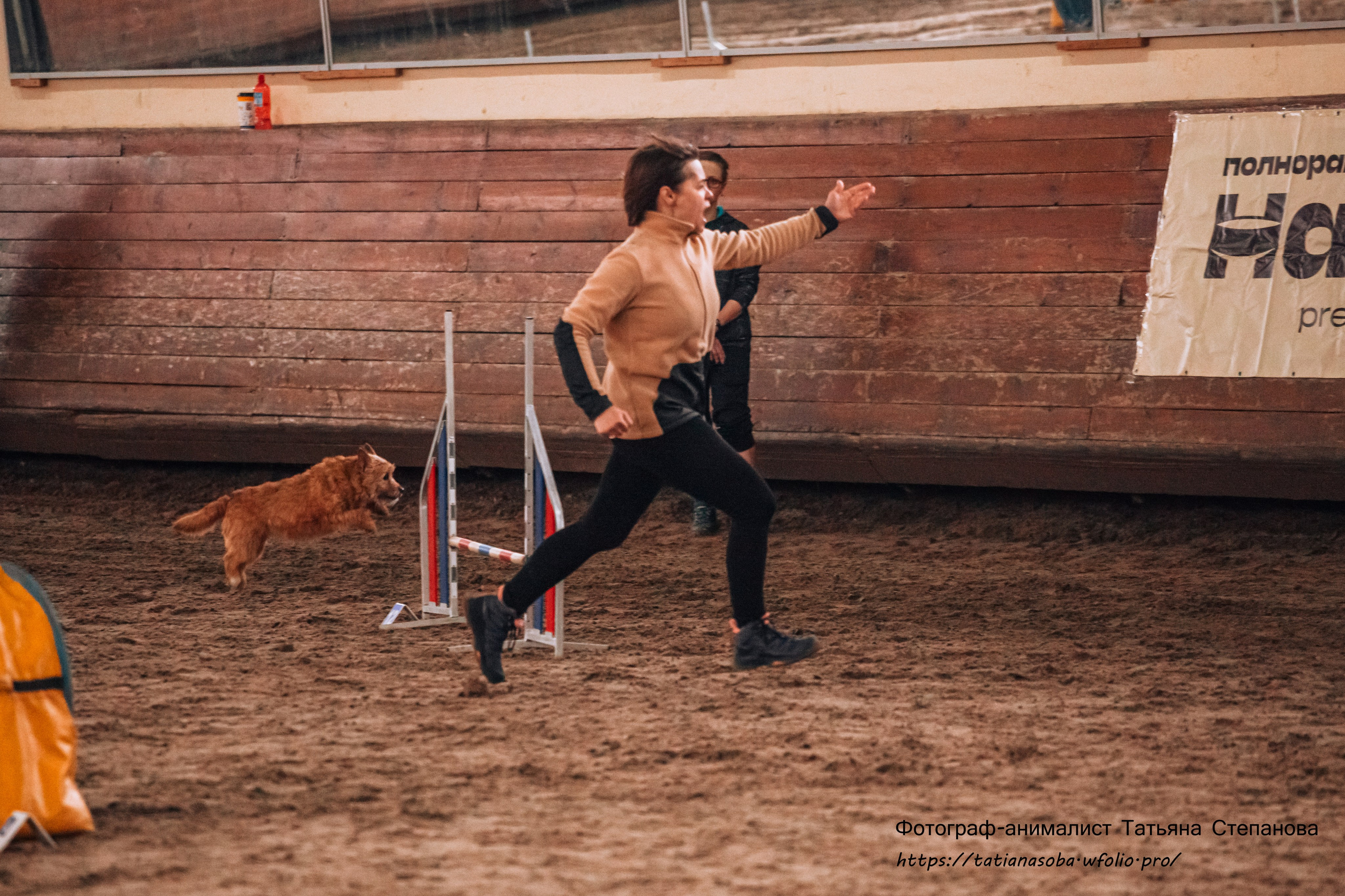 Соревнования по Аджилити 25.02.2024. Фотограф-анималист Татьяна Степанова