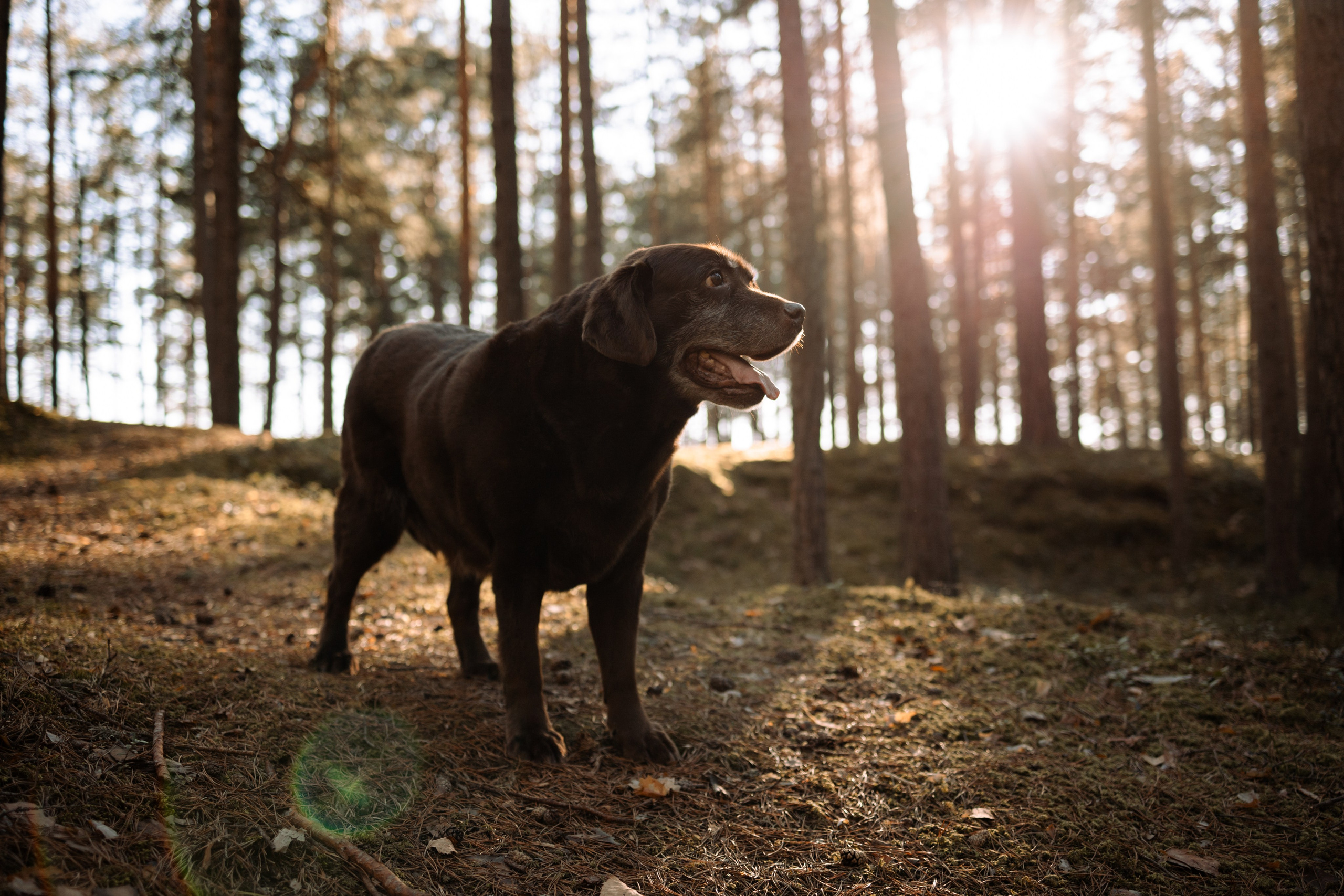 Оля и Питоня. Фотограф — Анималист | Санкт-Петербург