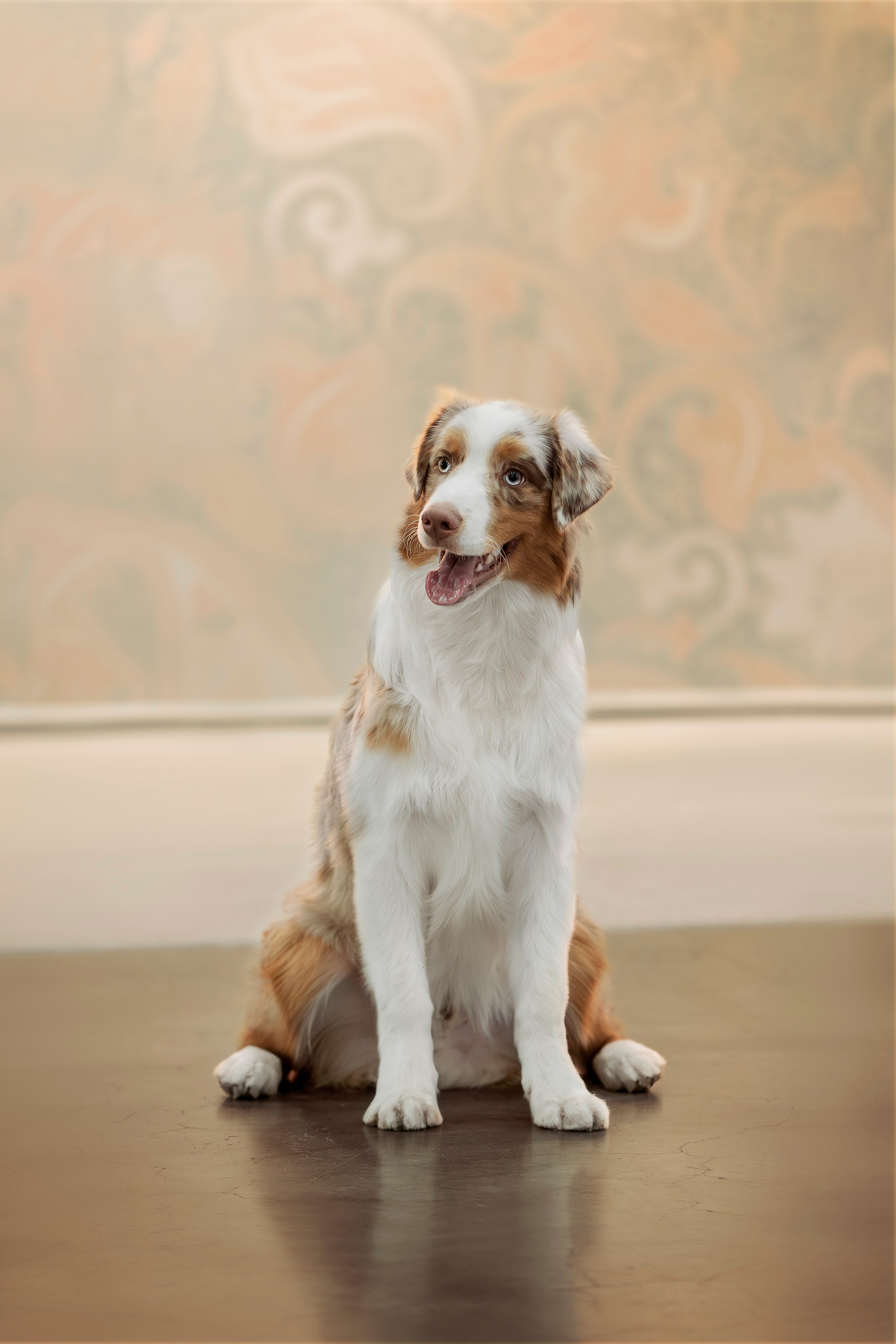 Евразия 2023. Фотограф анималист в Москве Майорова Евгения