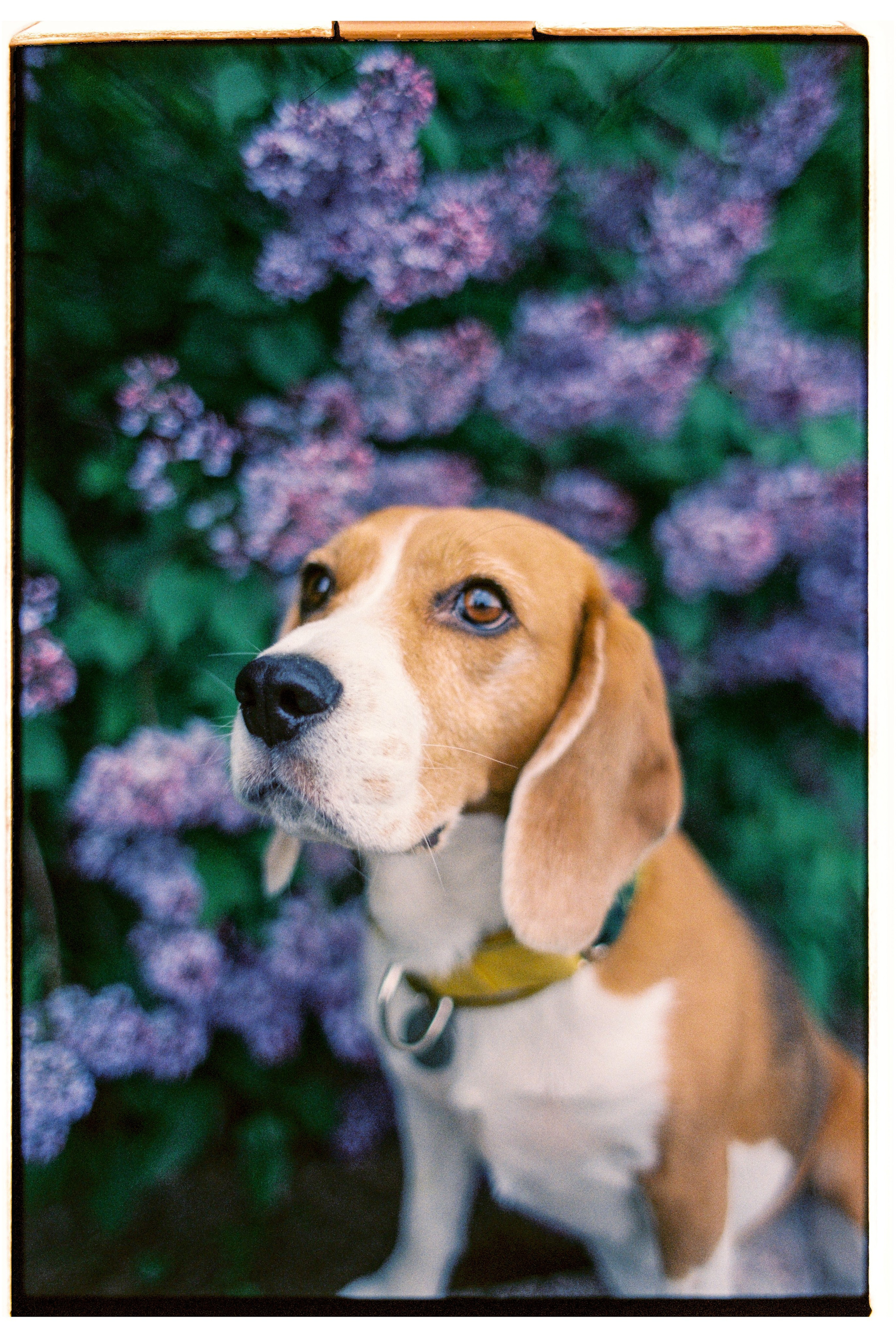 Great time with my family. Никита Демидов. Nikita Demidov