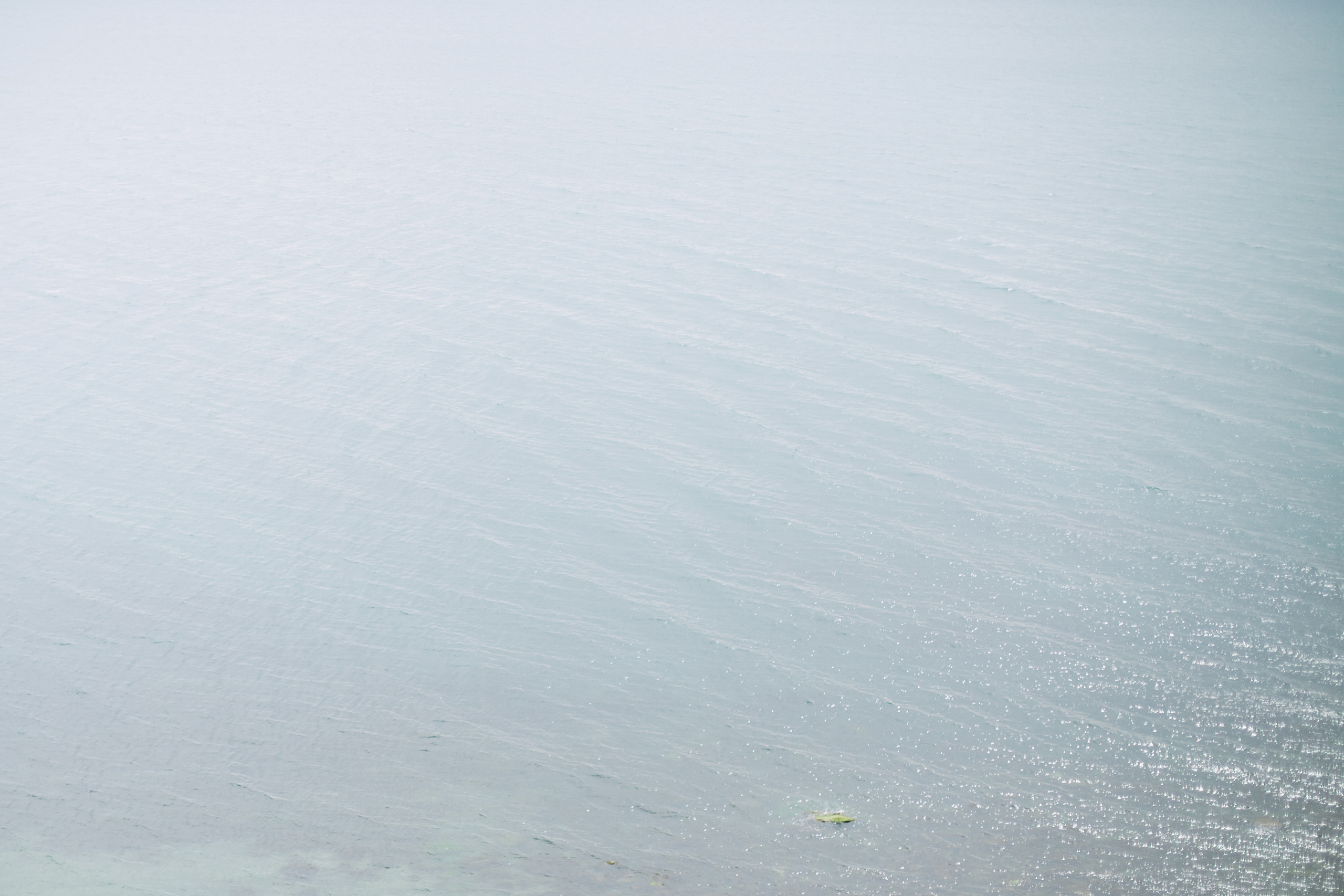 Диана и Алексей. Свадебный фотограф Краснодар