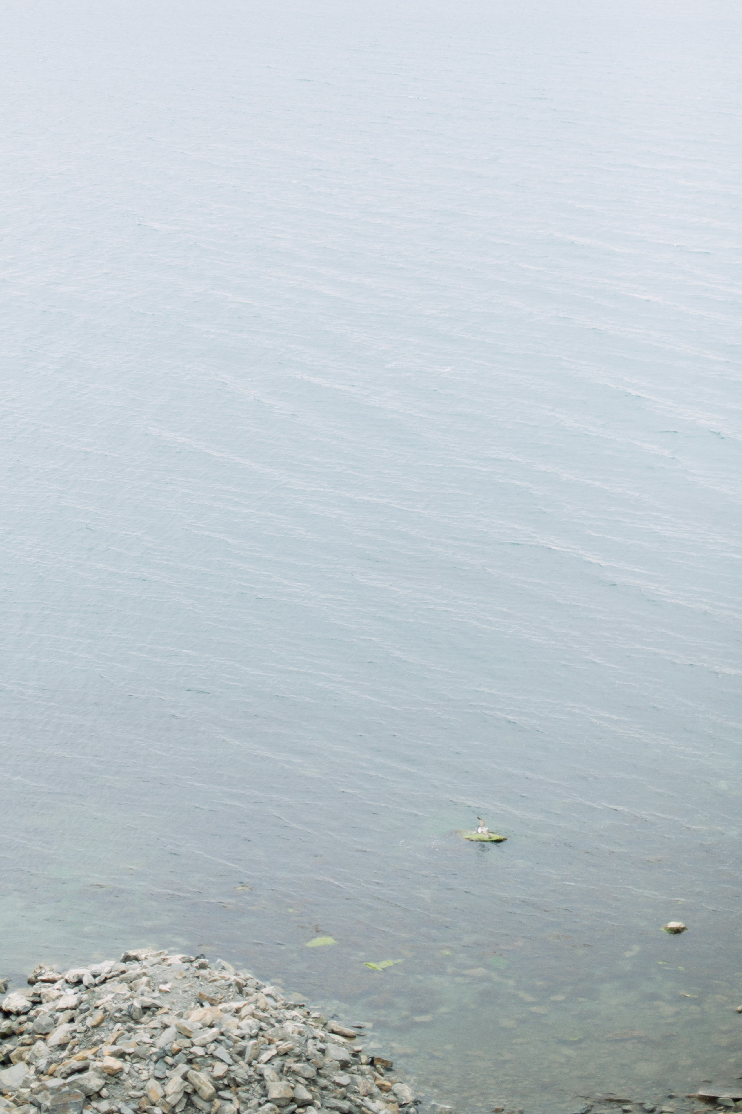 Диана и Алексей. Свадебный фотограф Краснодар