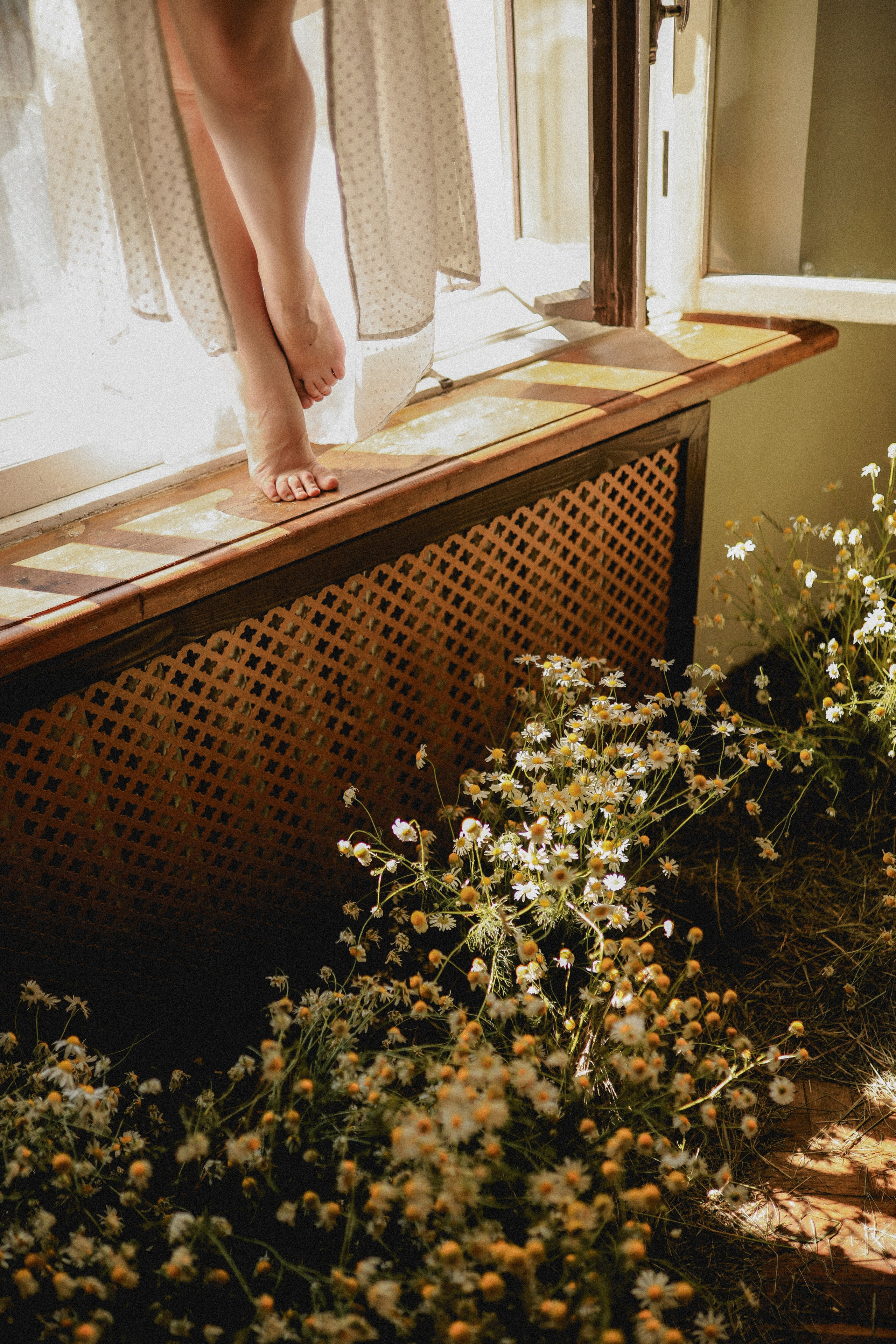 Сон в летнюю ночь | Ромашковое поле