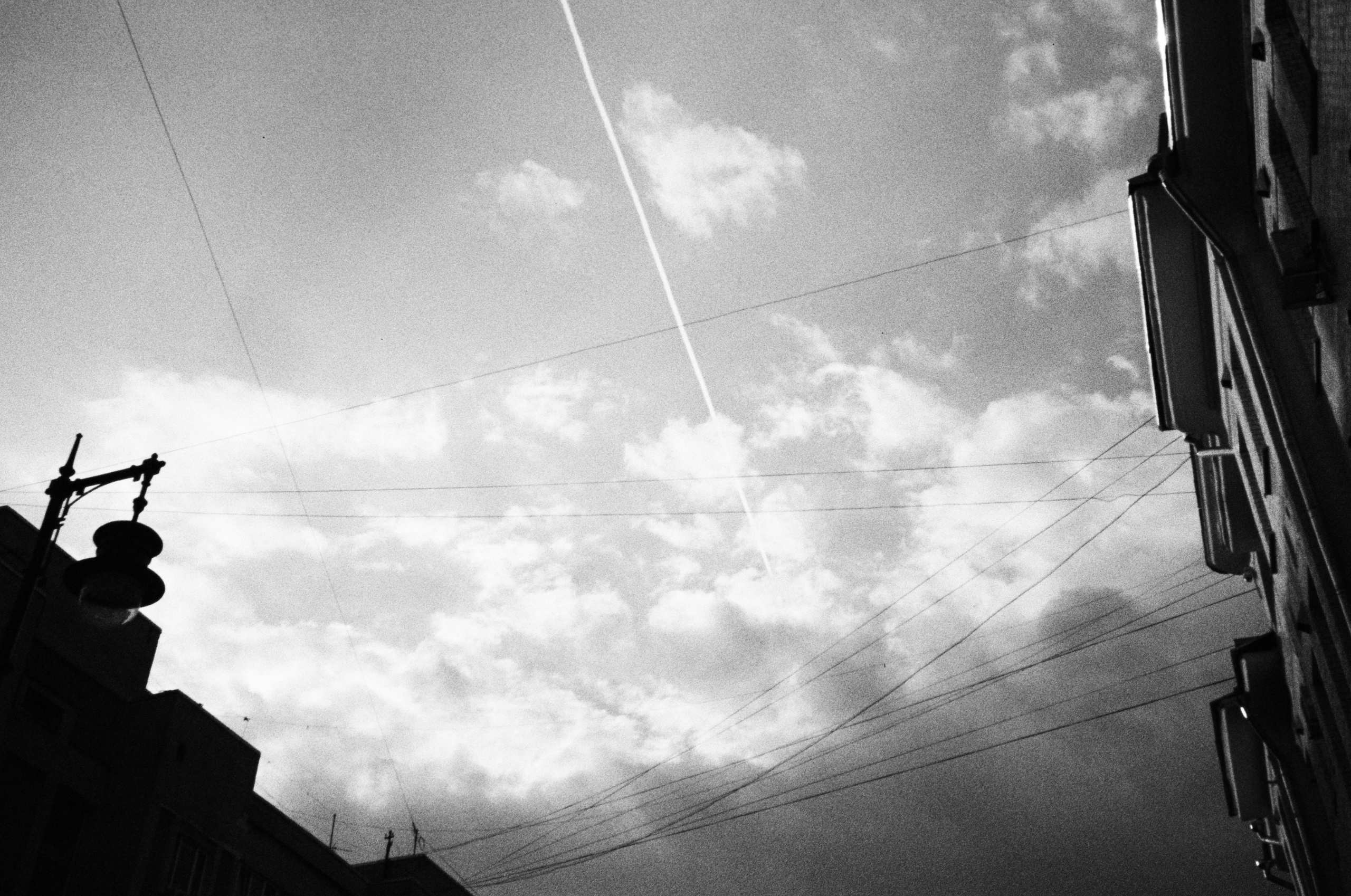 Grain. Artem Khusainov