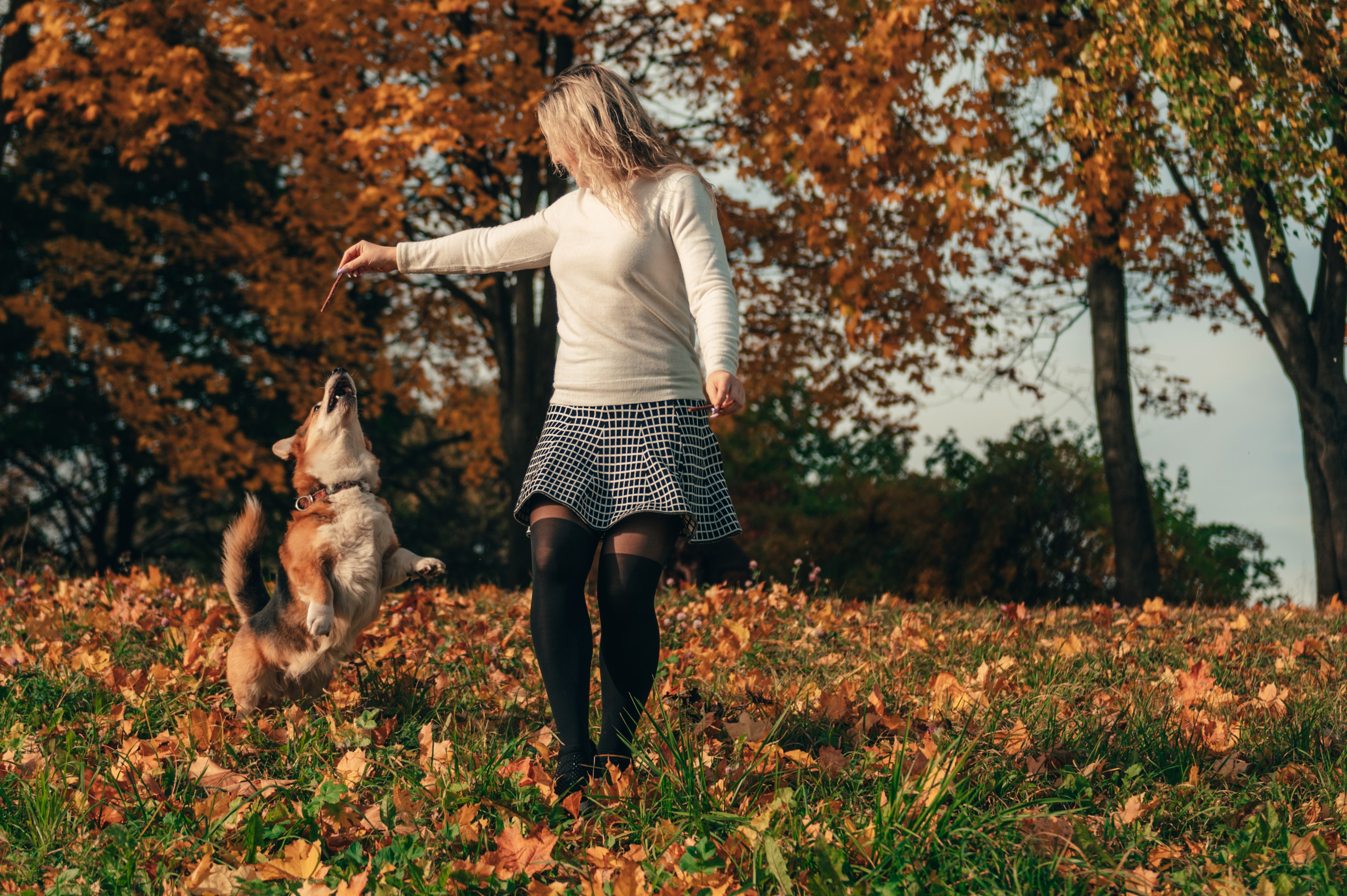 Все краски осени. Свадебный и семейный фотограф София Невская