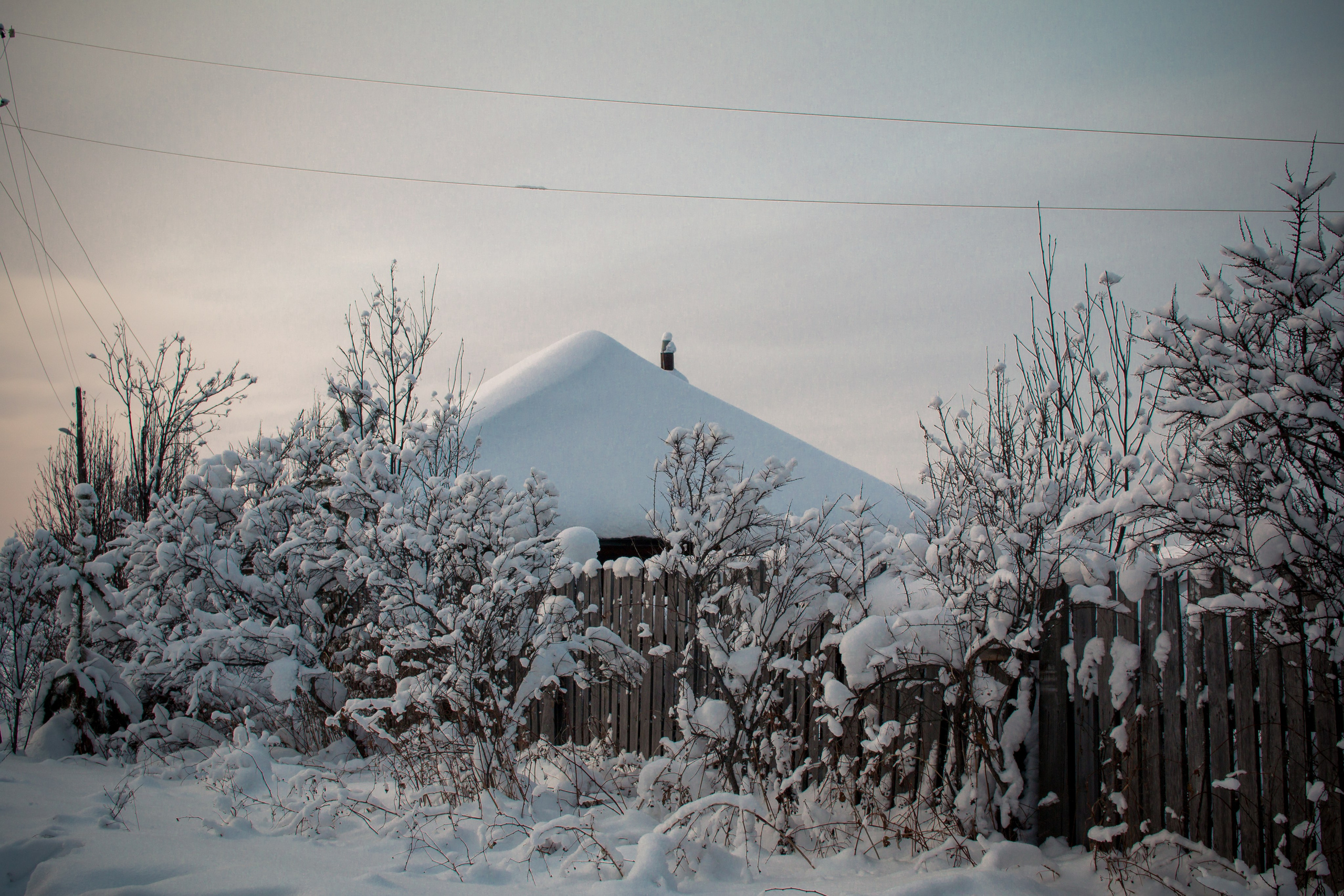 Зима. Ваш фотограф Северск | Томск