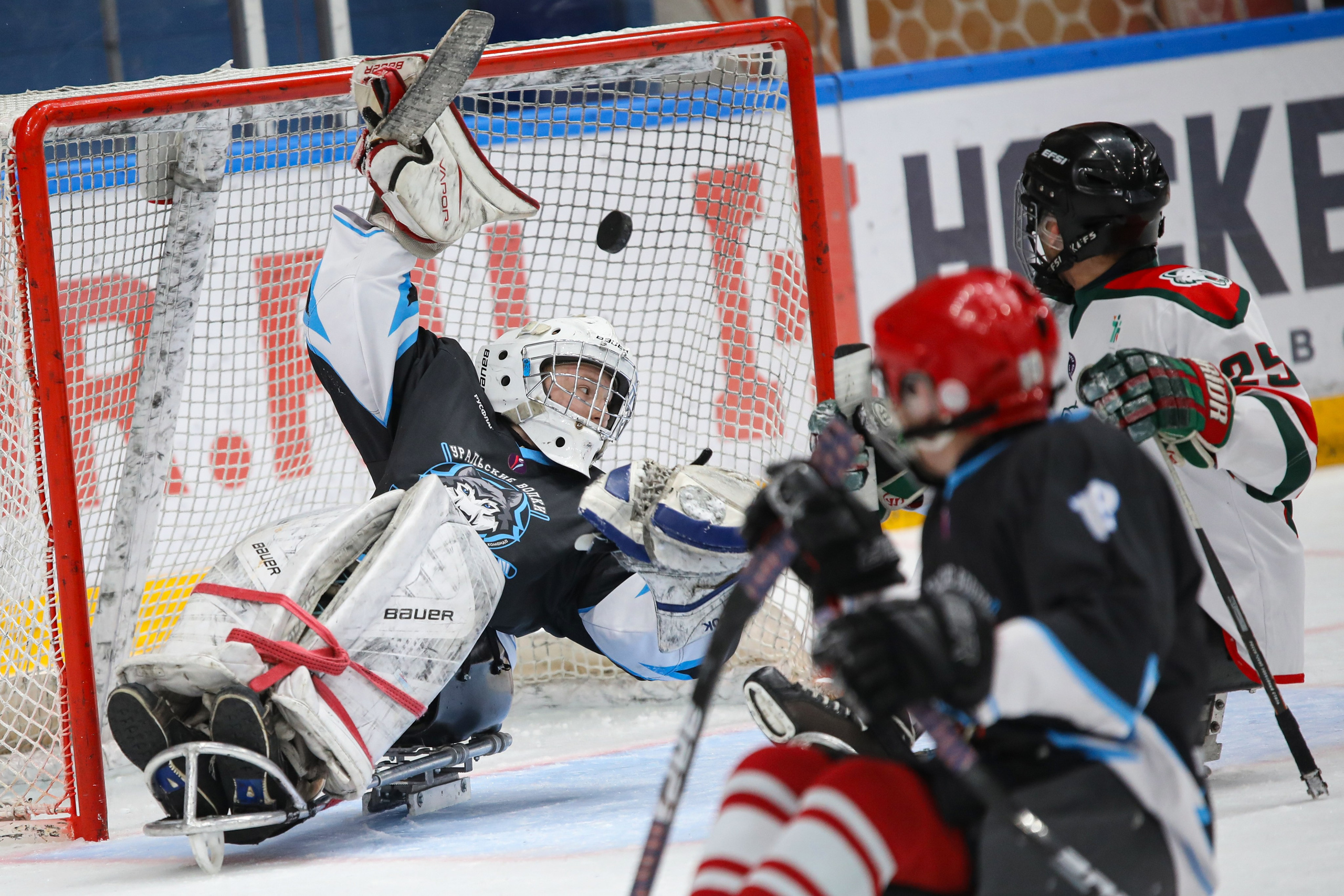 Следж-хоккей. Спортивный фотограф в Санкт-Петербурге Наталья Ксенофонтова